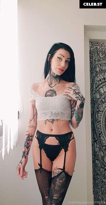 Serjenfox Image 2231163