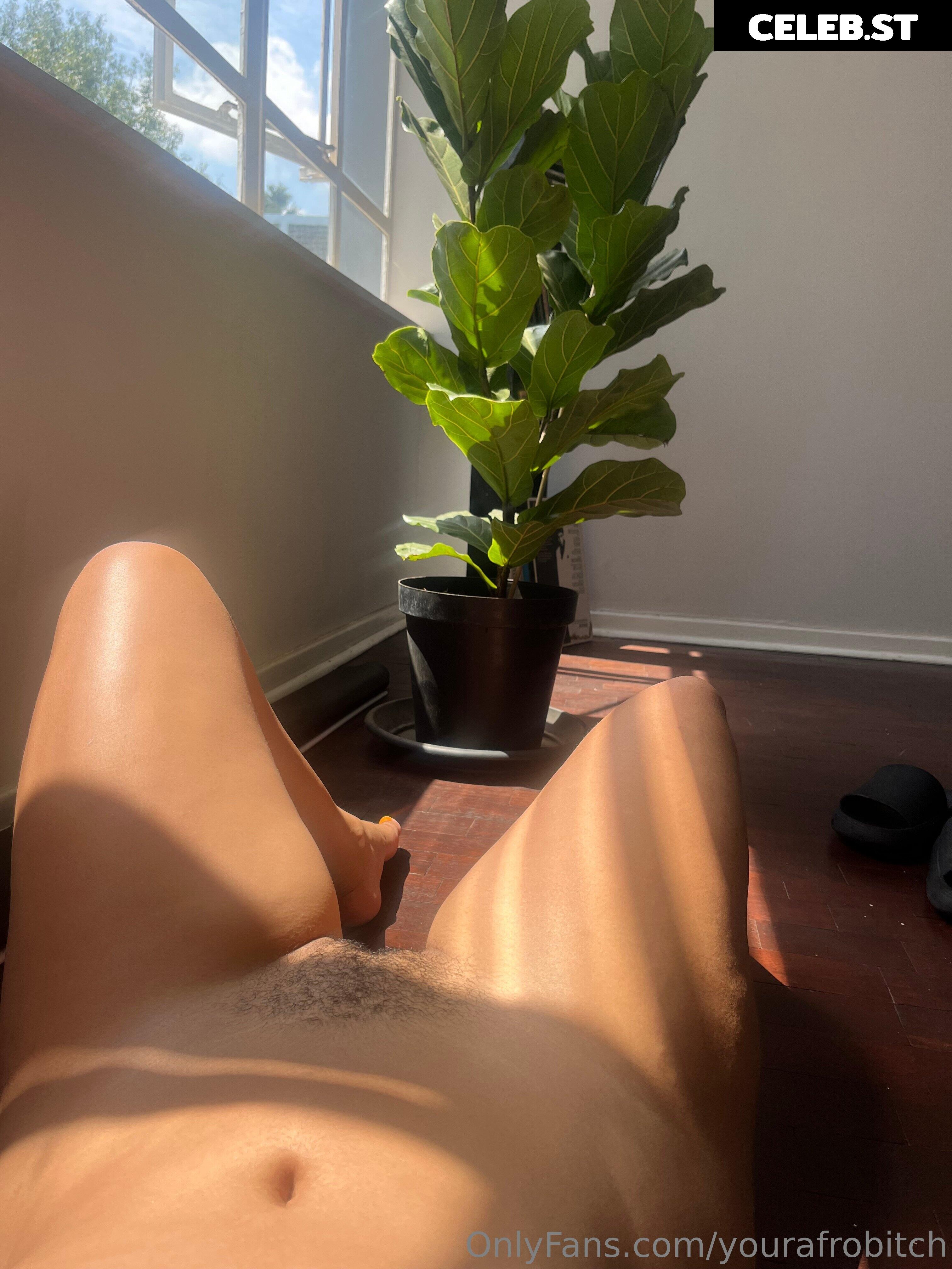 yourafrobitch Image 223079