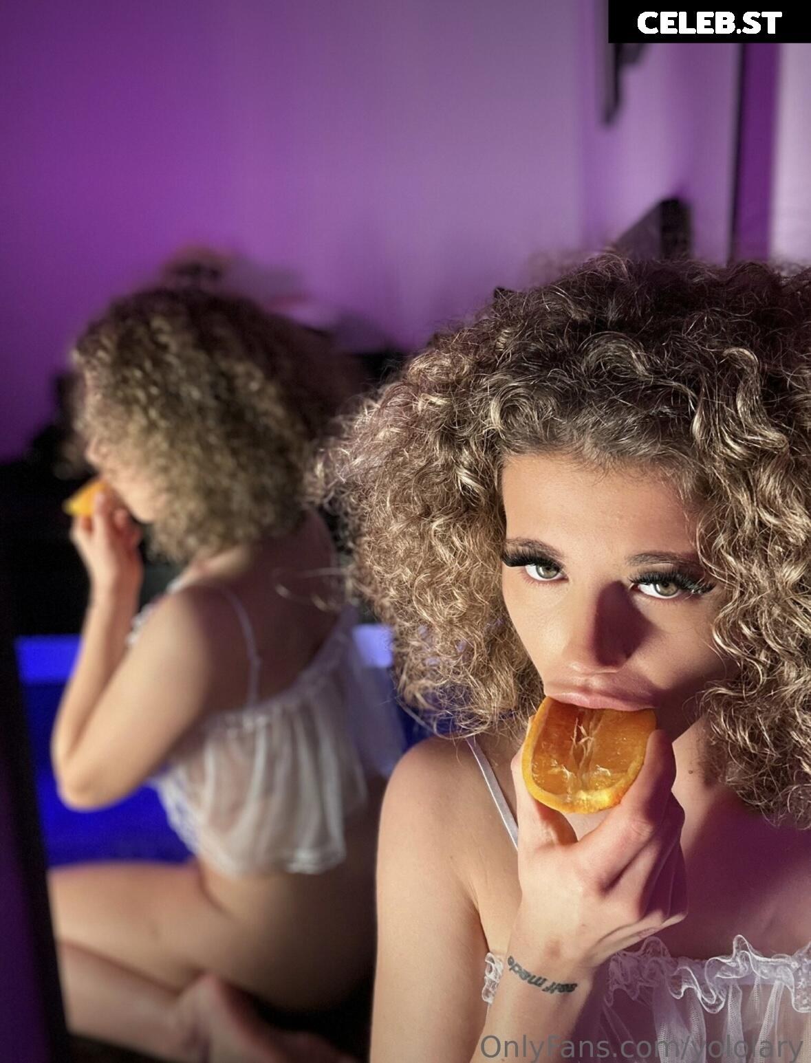 Yoloschnitzel Image 2238578