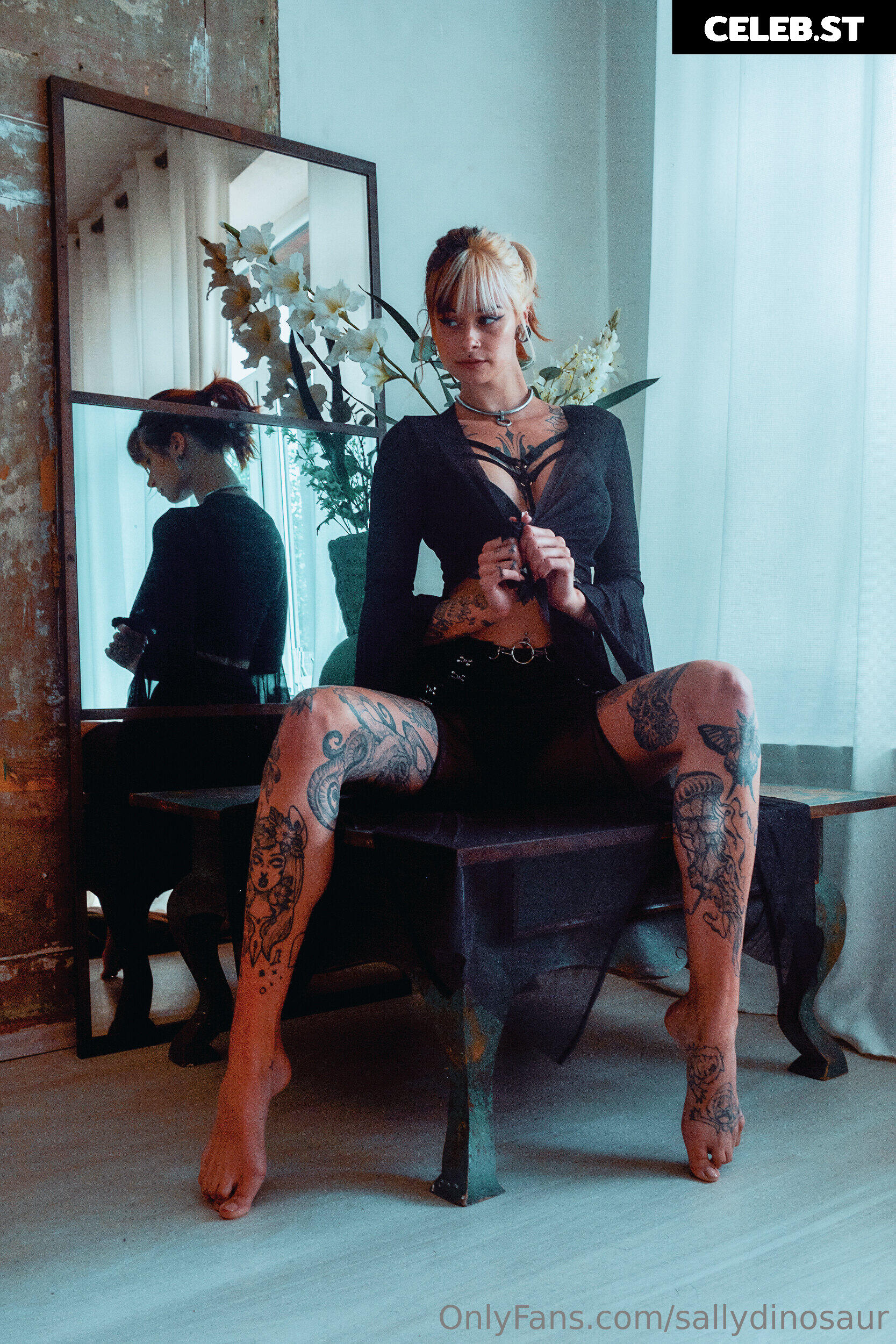 Sallydinosaur Image 2225905