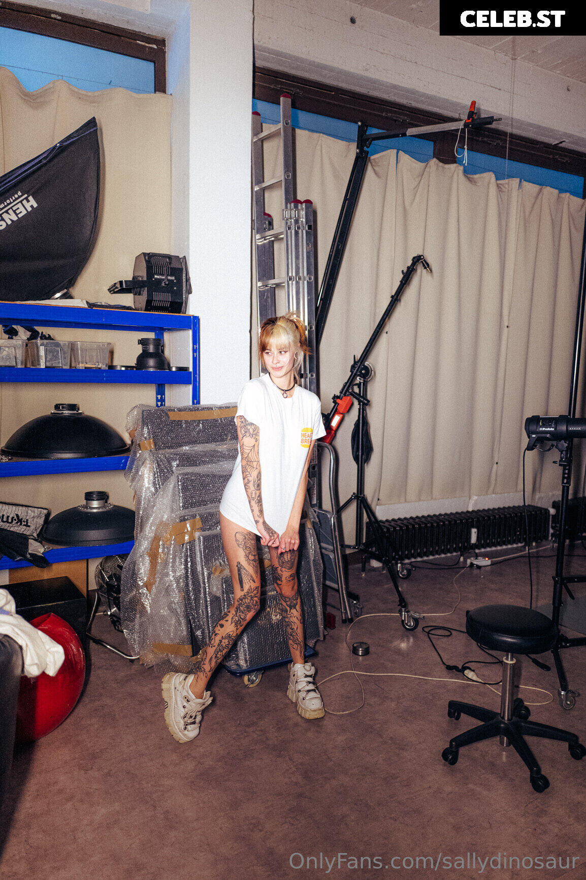 Sallydinosaur Image 2226494