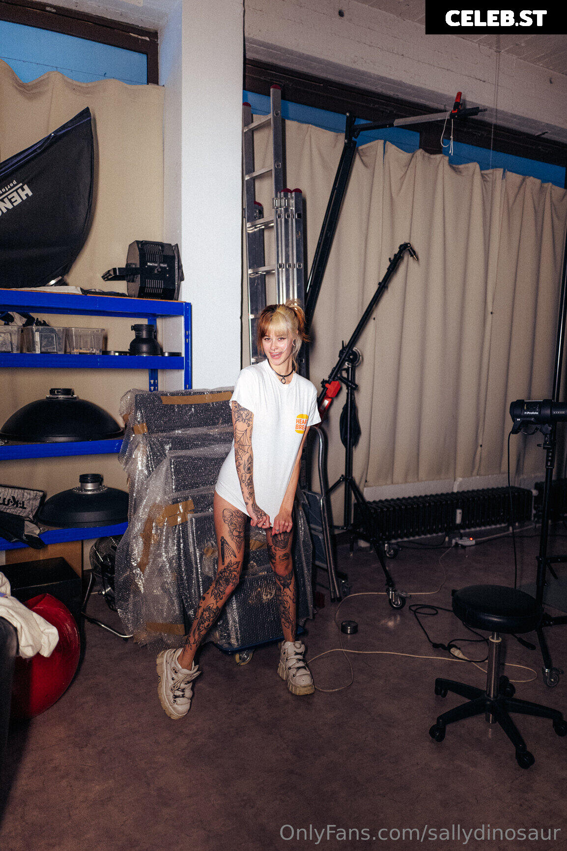 Sallydinosaur Image 2226463