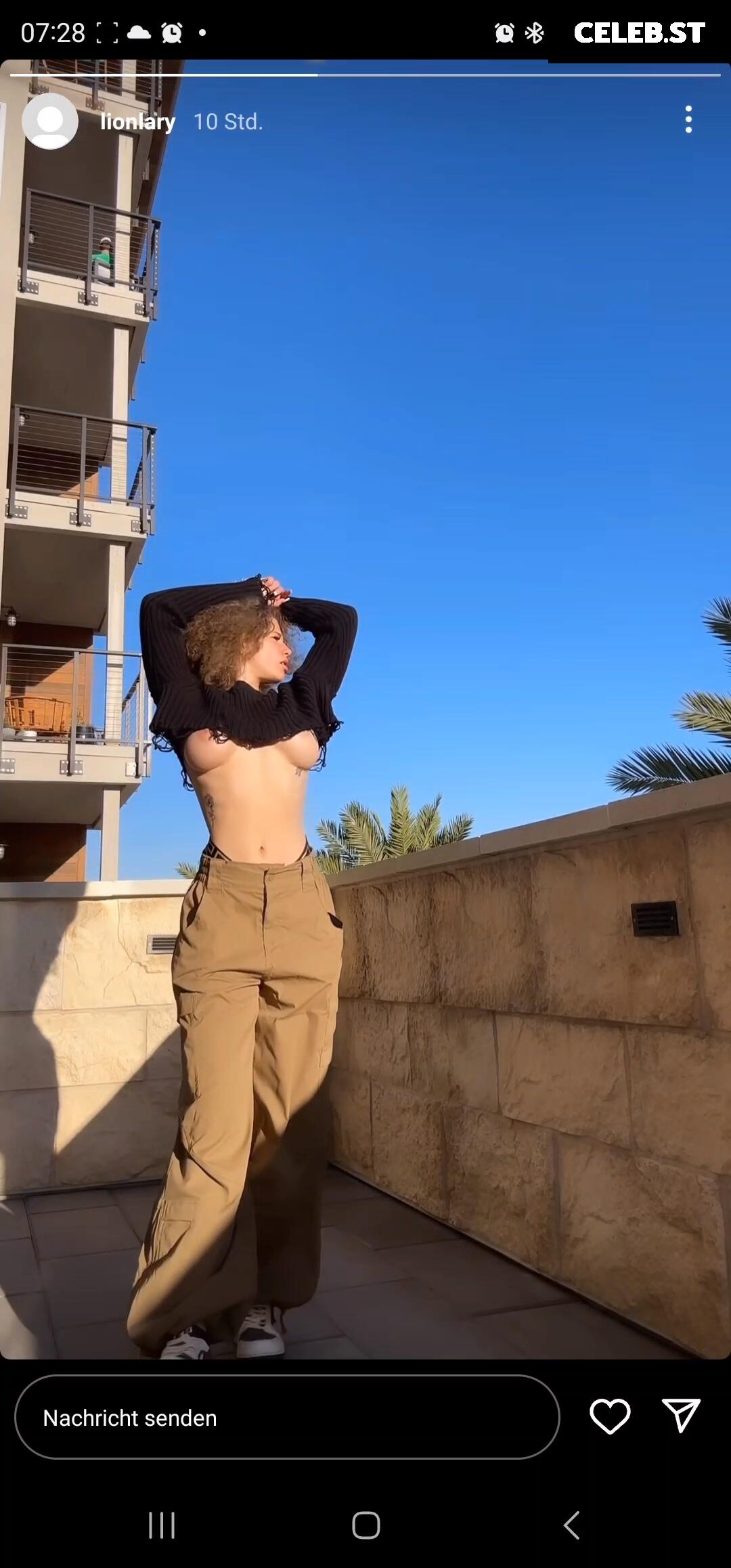 Yoloschnitzel Image 2227500