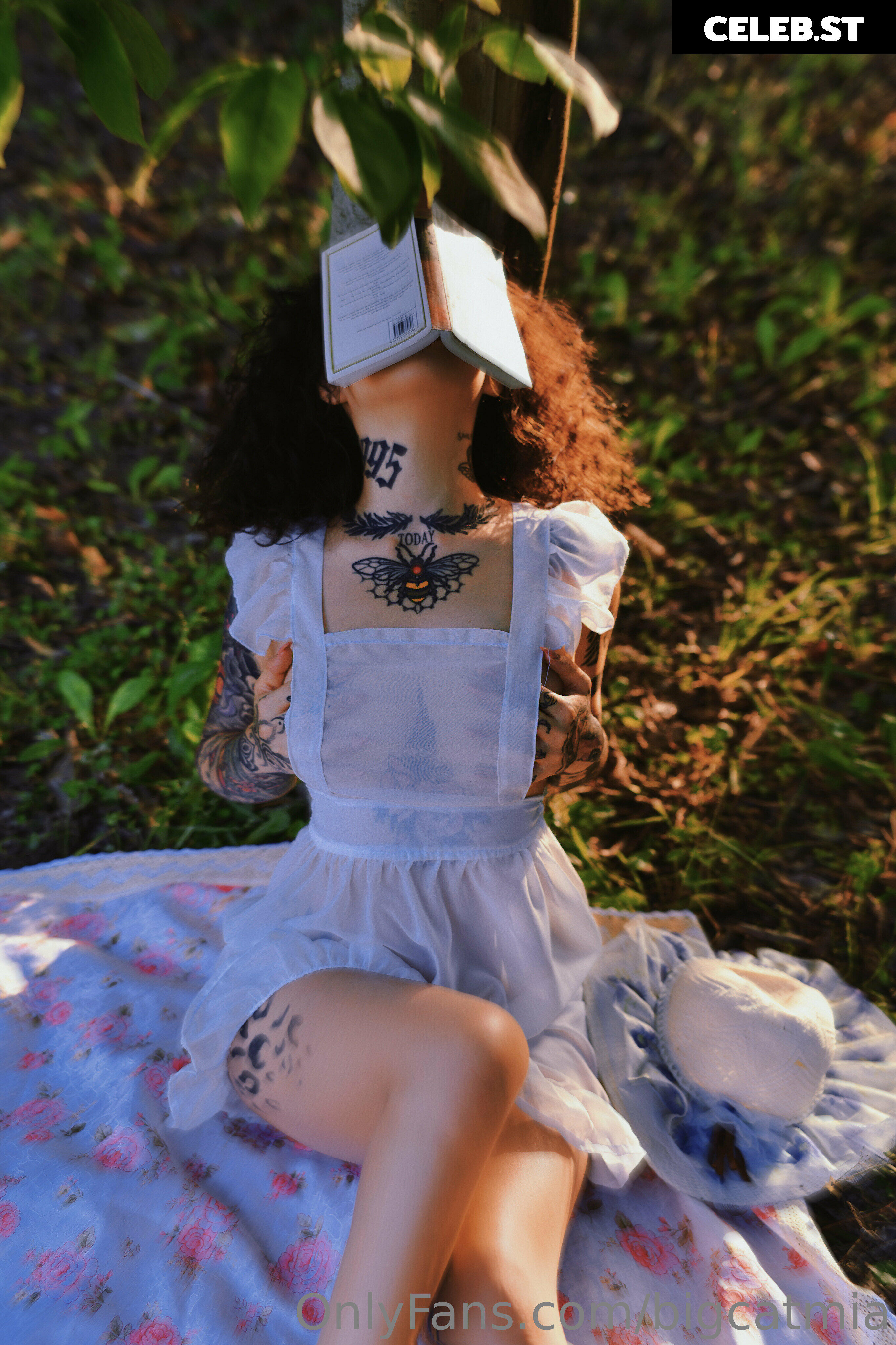 bigcatmia Image 2221013