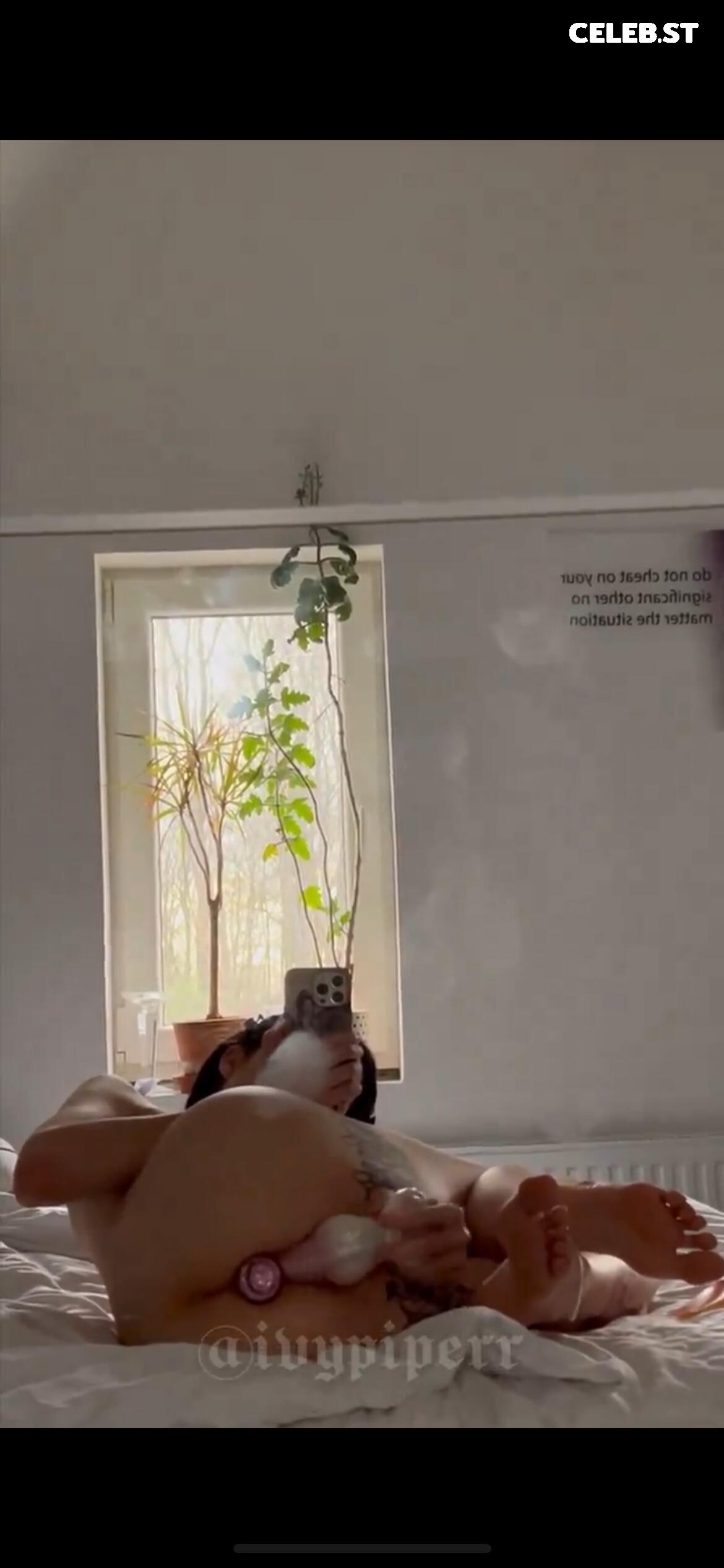 Ivy Piper Image 2221007