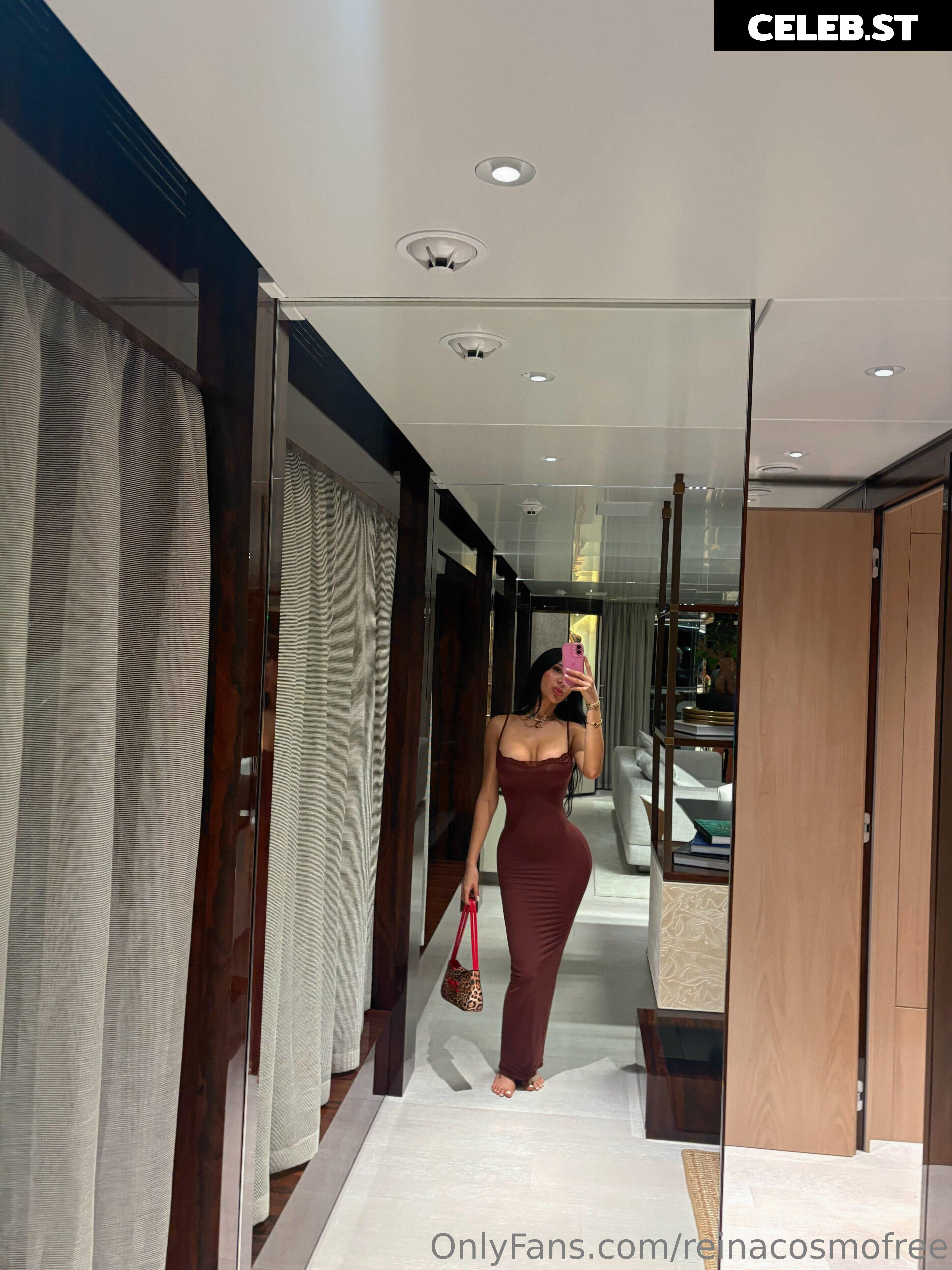 reinacosmofree Image 22212360