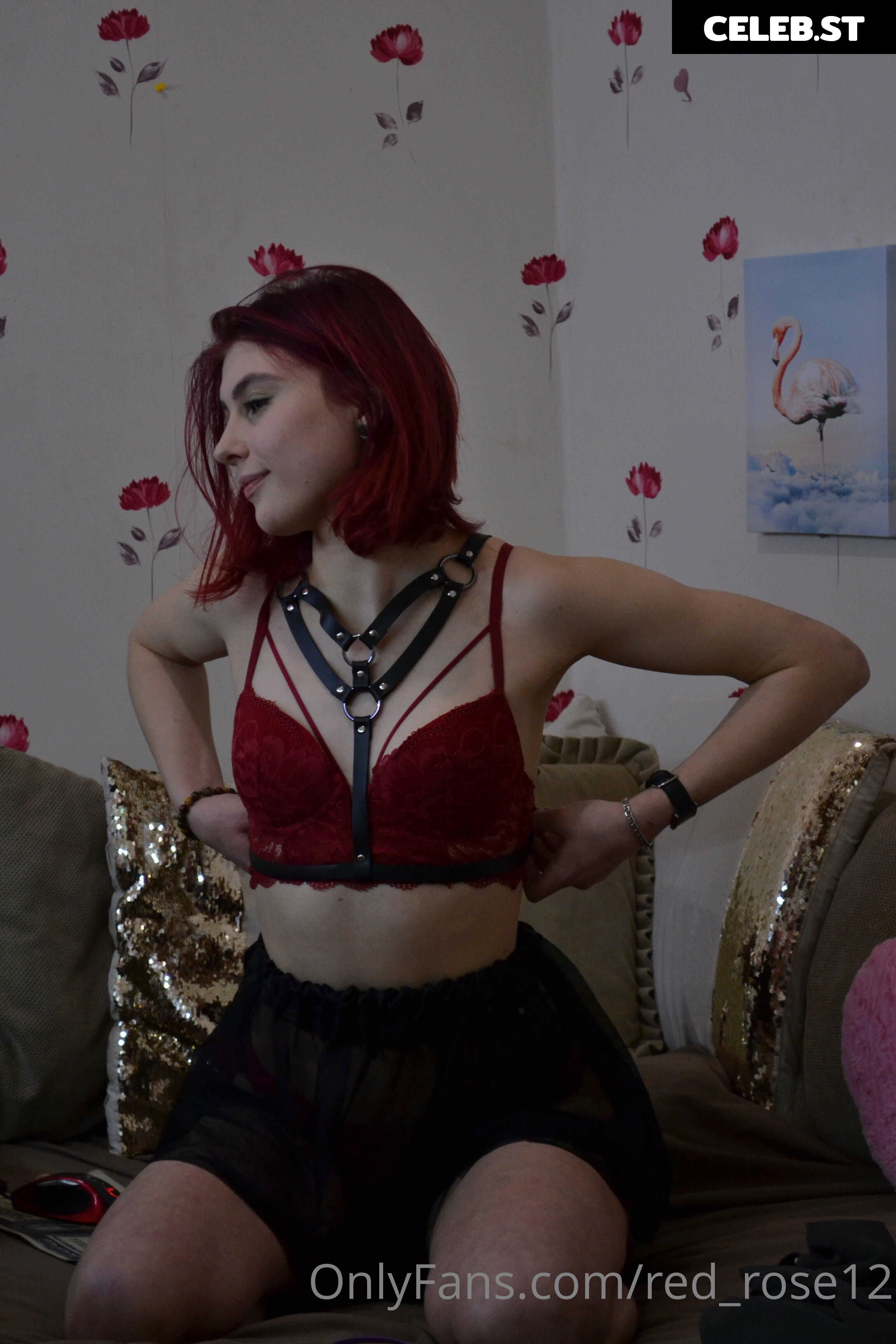 red_rose12 Image 22220311