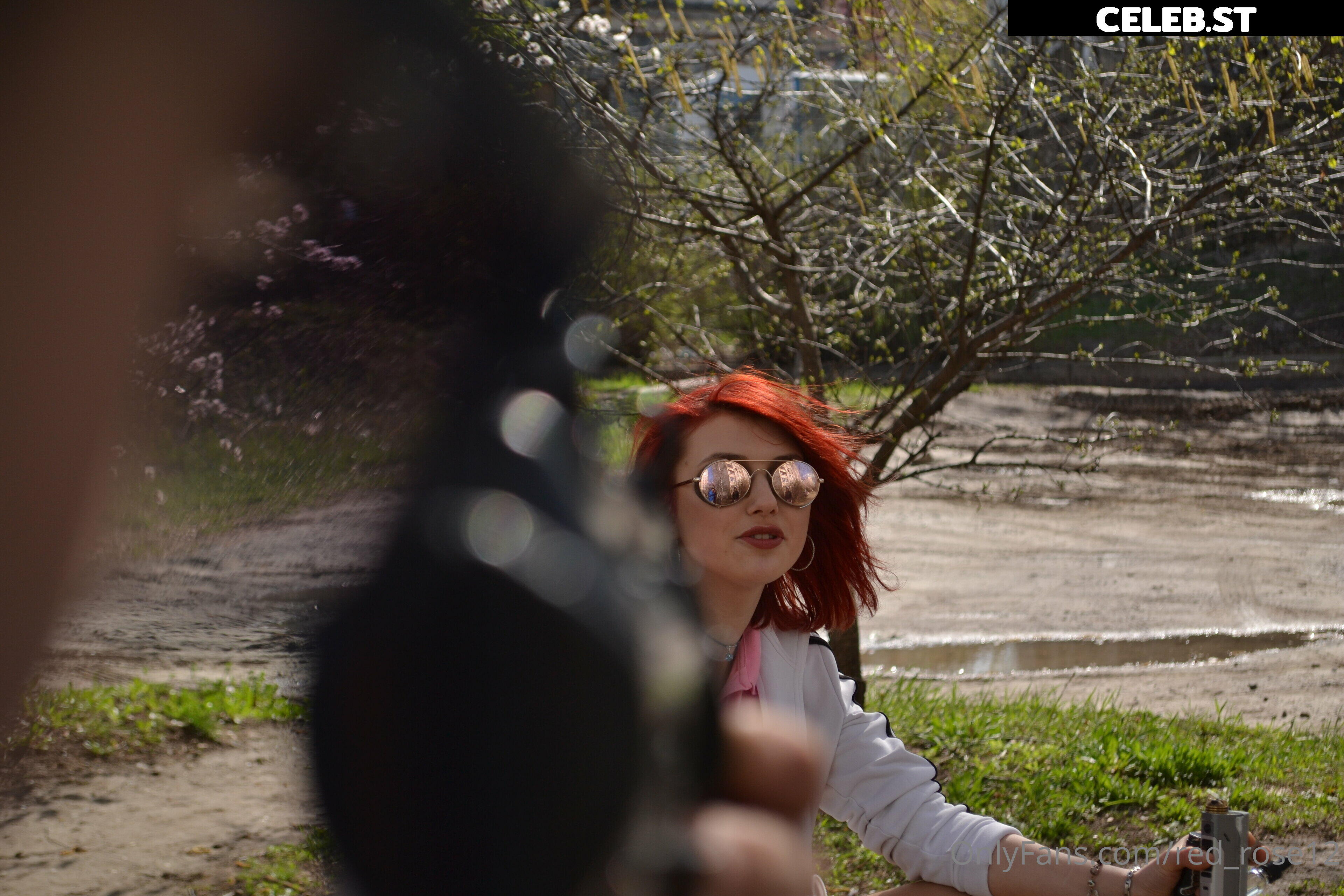 red_rose12 Image 22220302