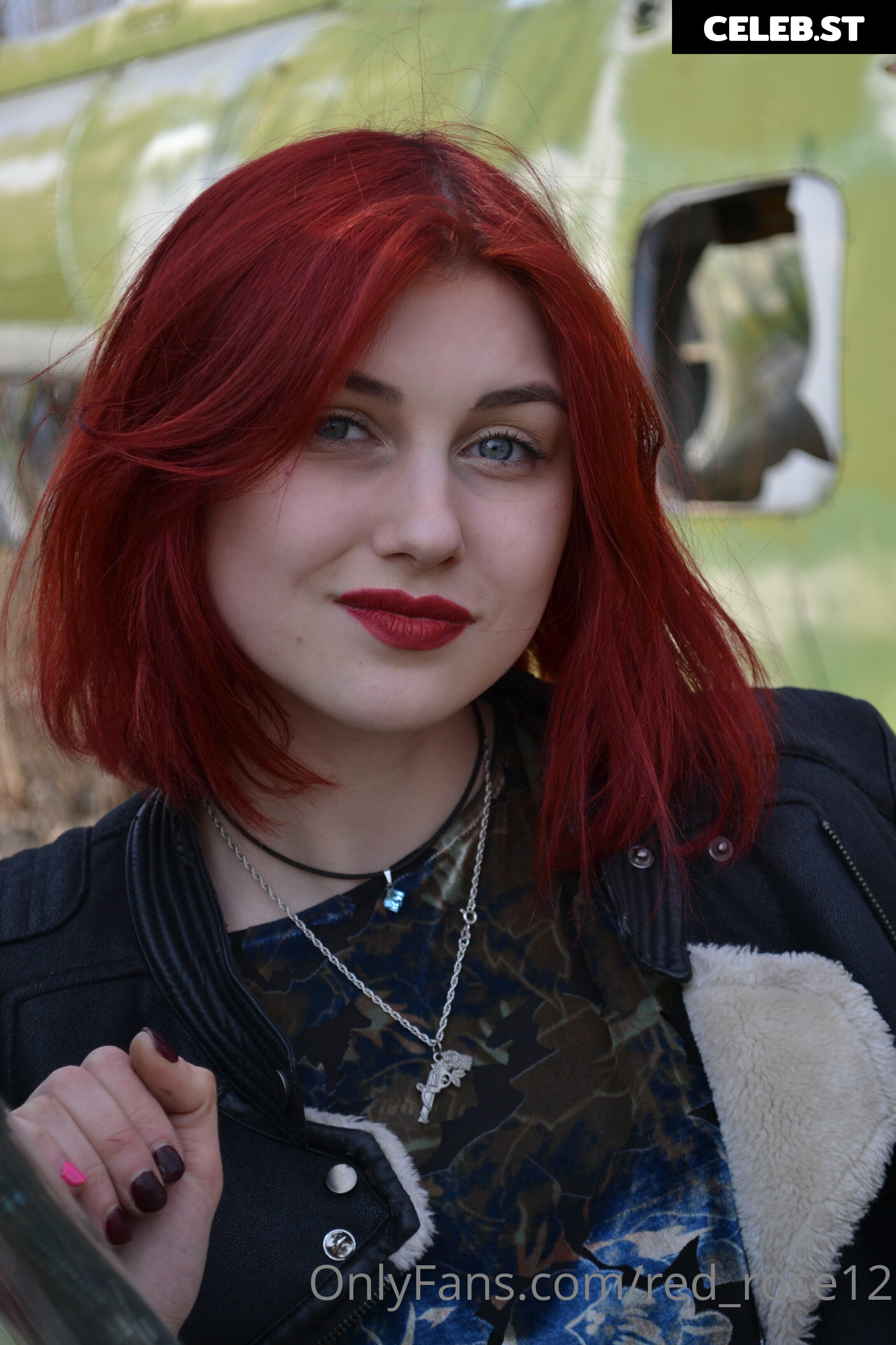 red_rose12 Image 22220305
