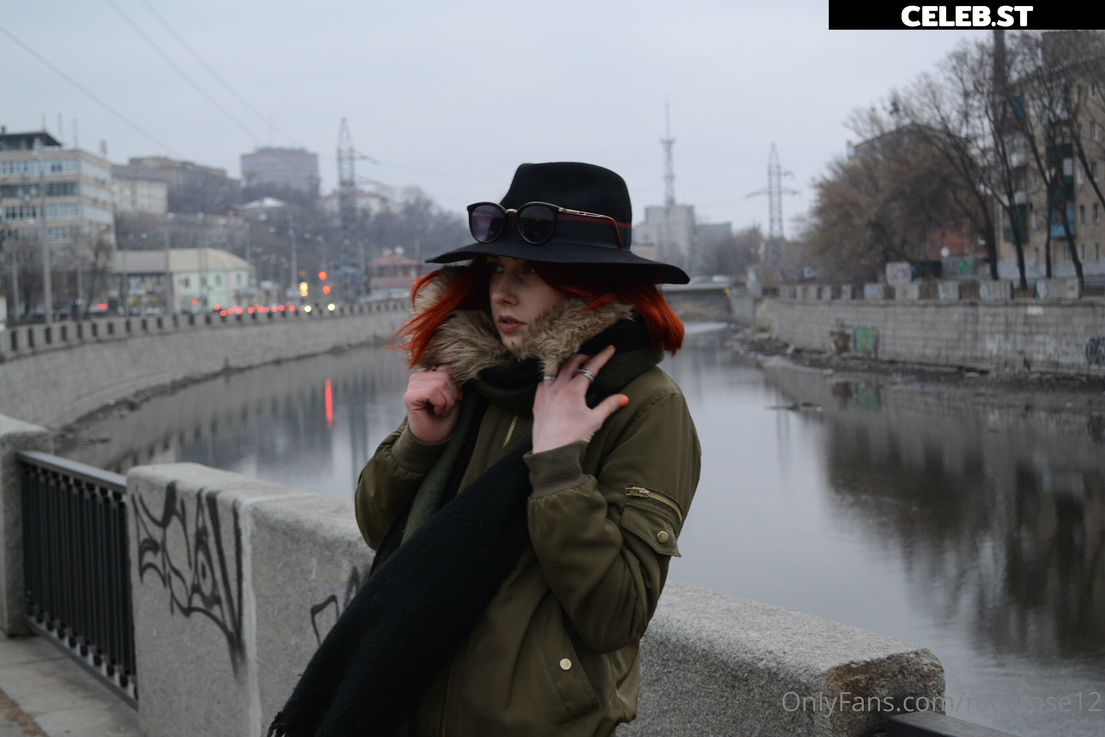 red_rose12 Image 22220285