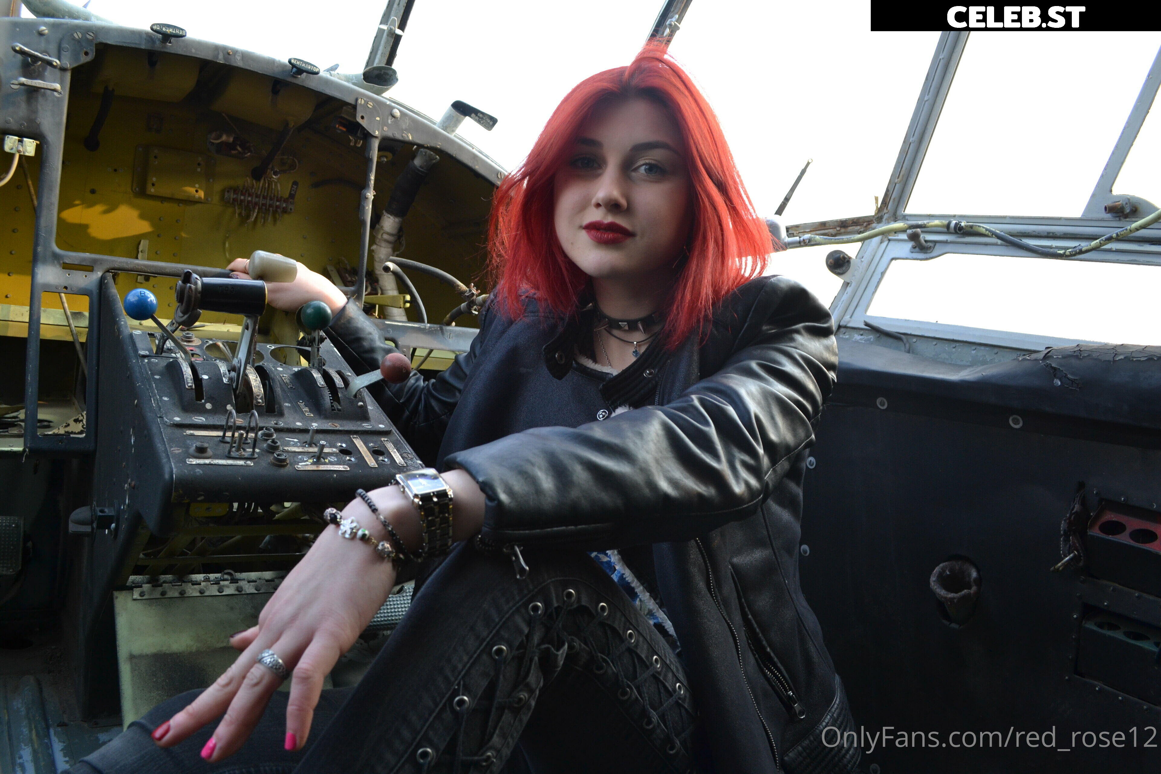 red_rose12 Image 22220277