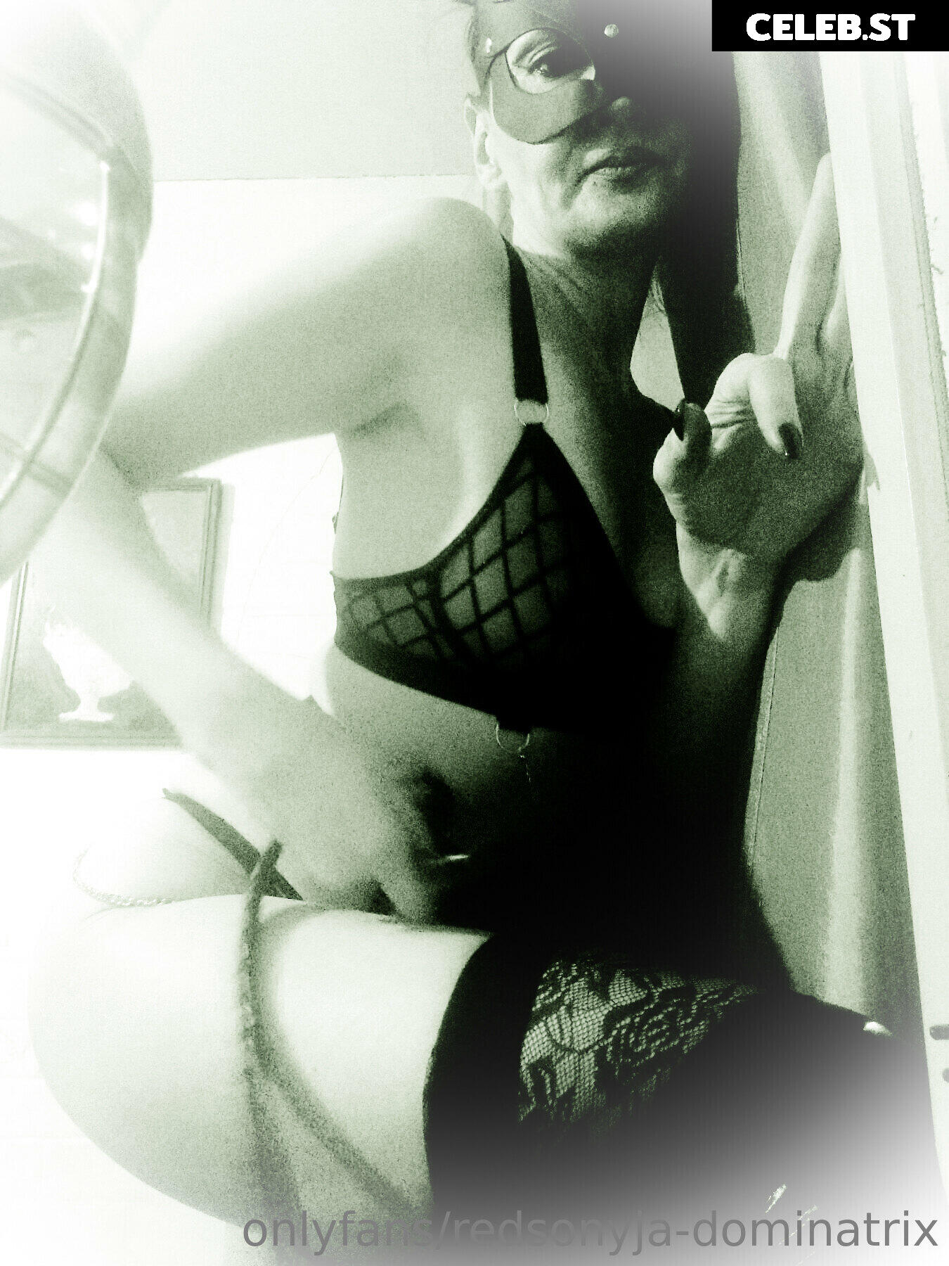 redsonyja-dominatrix Image 22229991