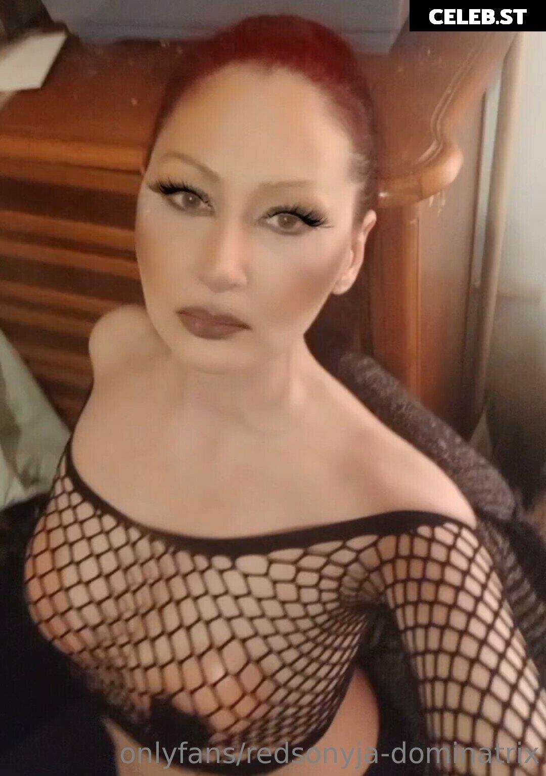 redsonyja-dominatrix Image 22229990