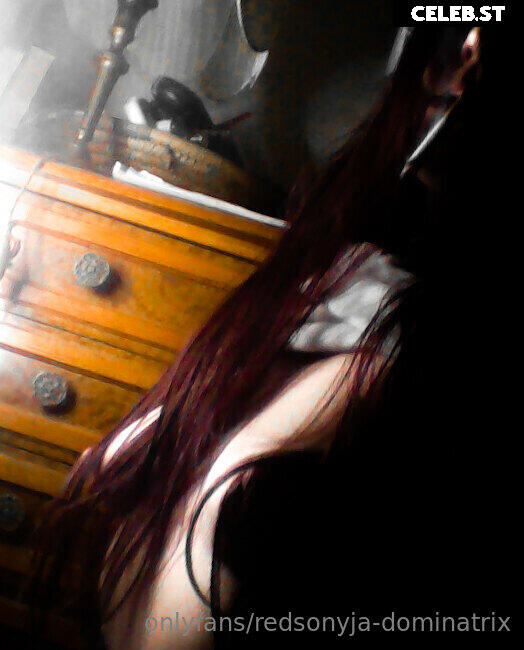 redsonyja-dominatrix Image 22229997