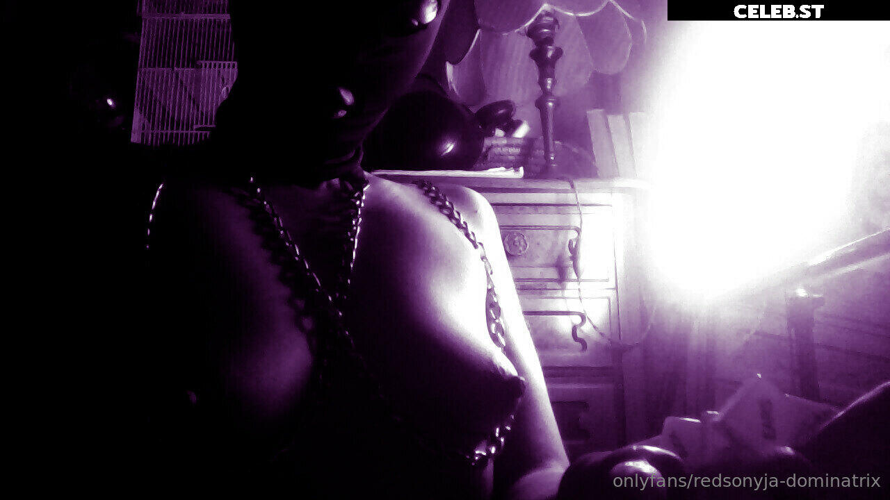 redsonyja-dominatrix Image 22229994