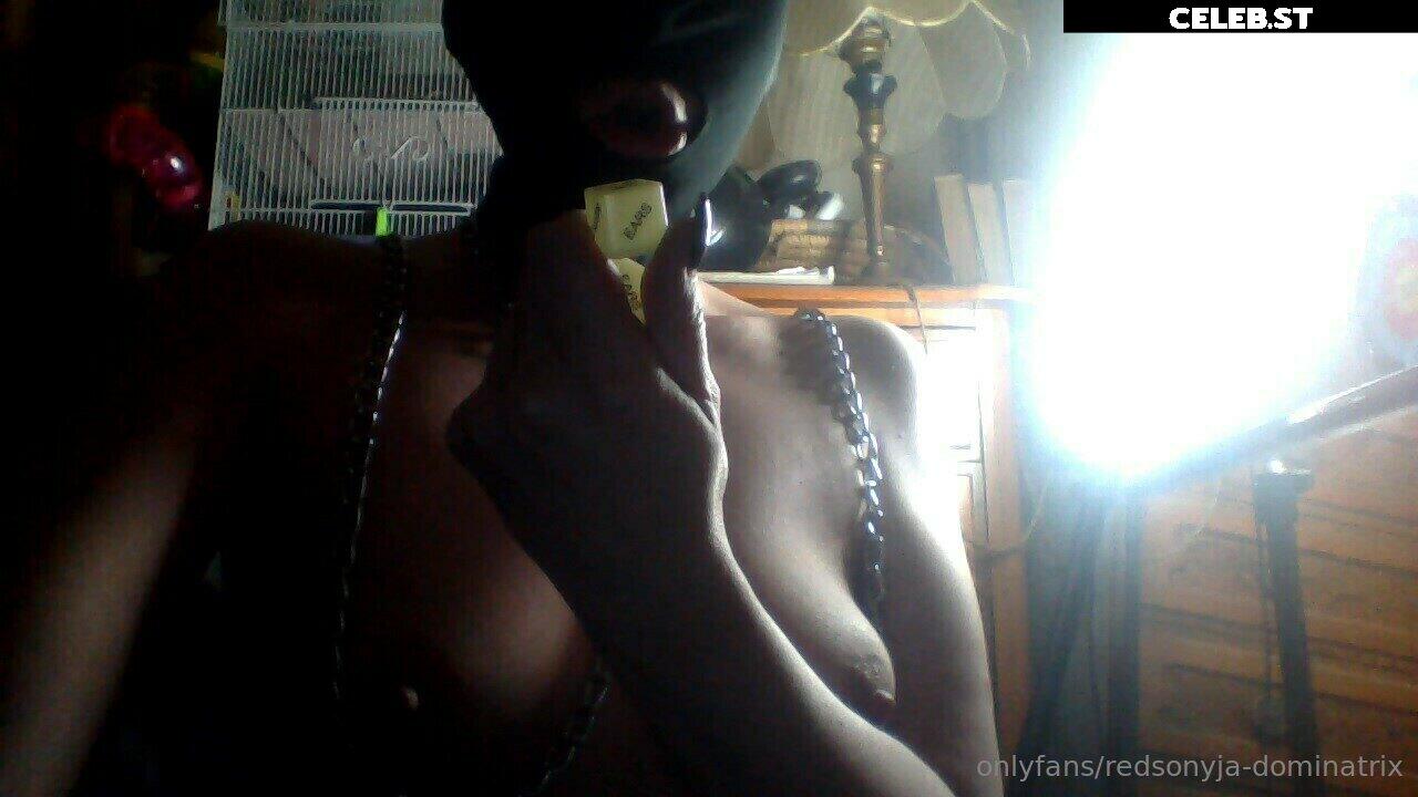 redsonyja-dominatrix Image 22229999