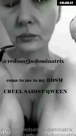 redsonyja-dominatrix Image 22229924