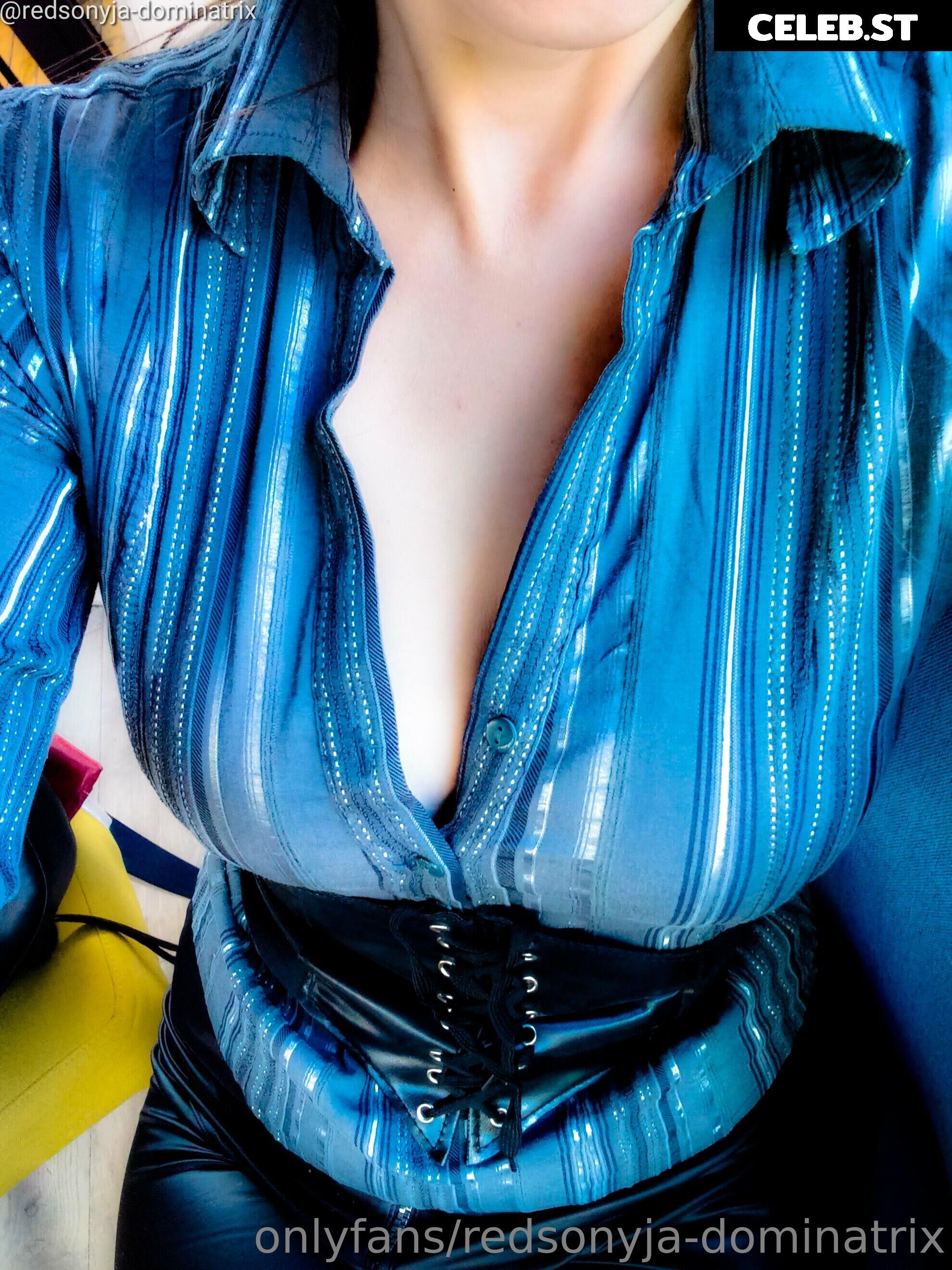 redsonyja-dominatrix Image 22229916
