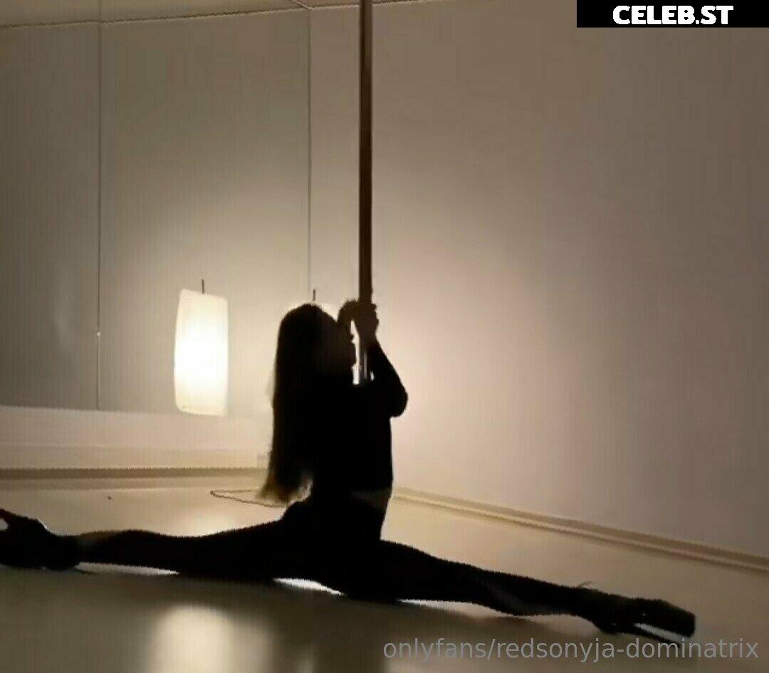 redsonyja-dominatrix Image 22229919