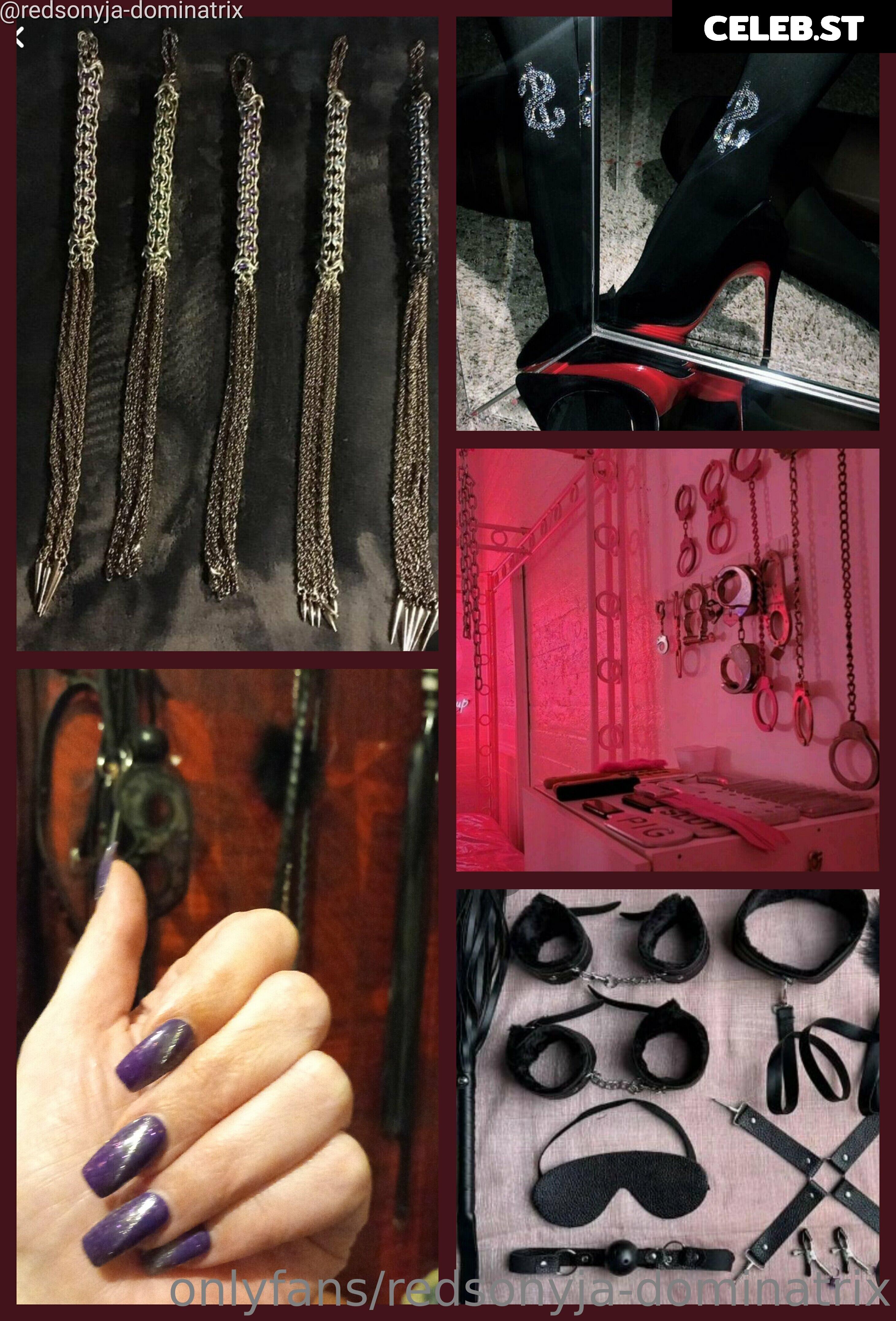 redsonyja-dominatrix Image 22229907
