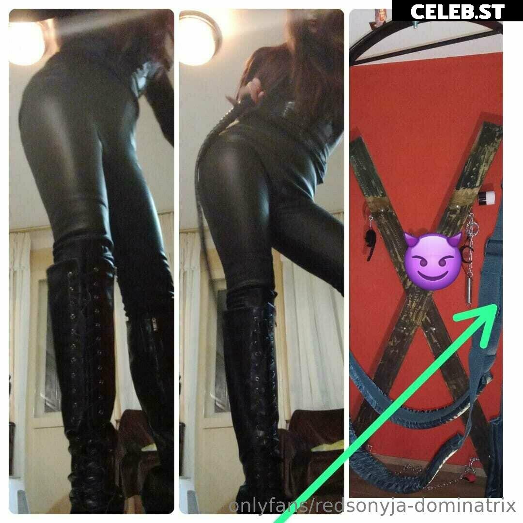 redsonyja-dominatrix Image 22229905