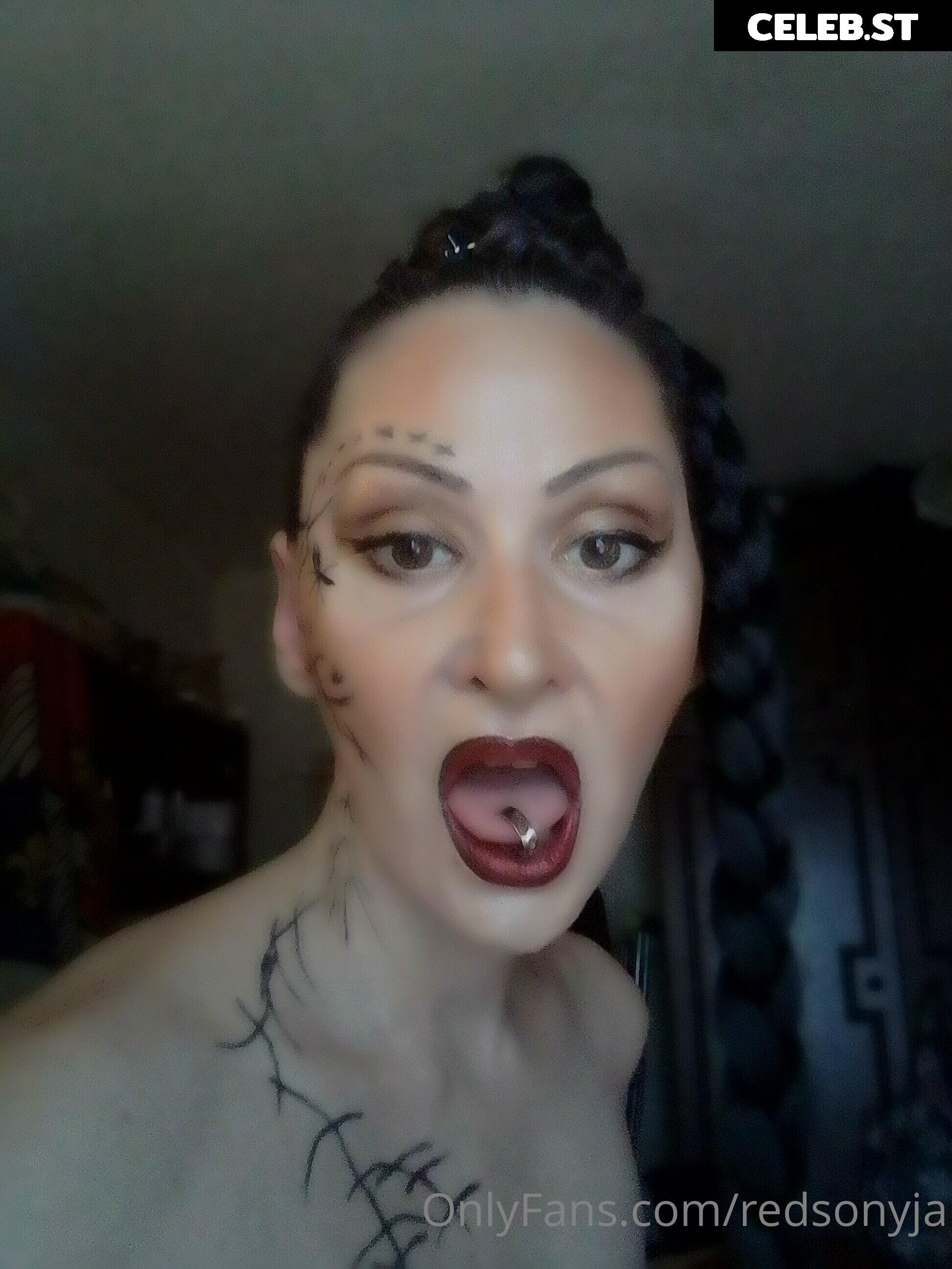 redsonyja-dominatrix Image 22229957