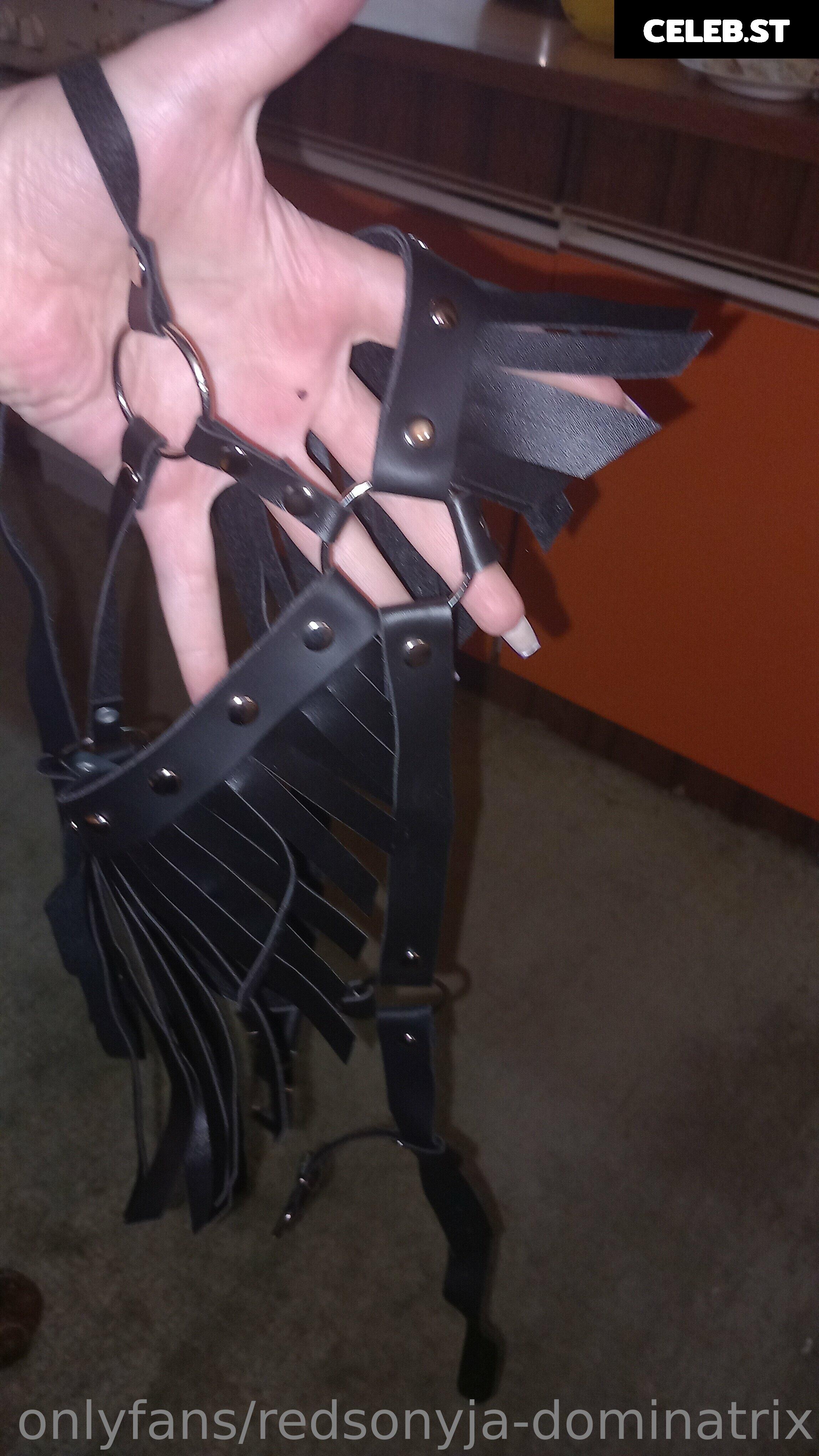 redsonyja-dominatrix Image 22229943