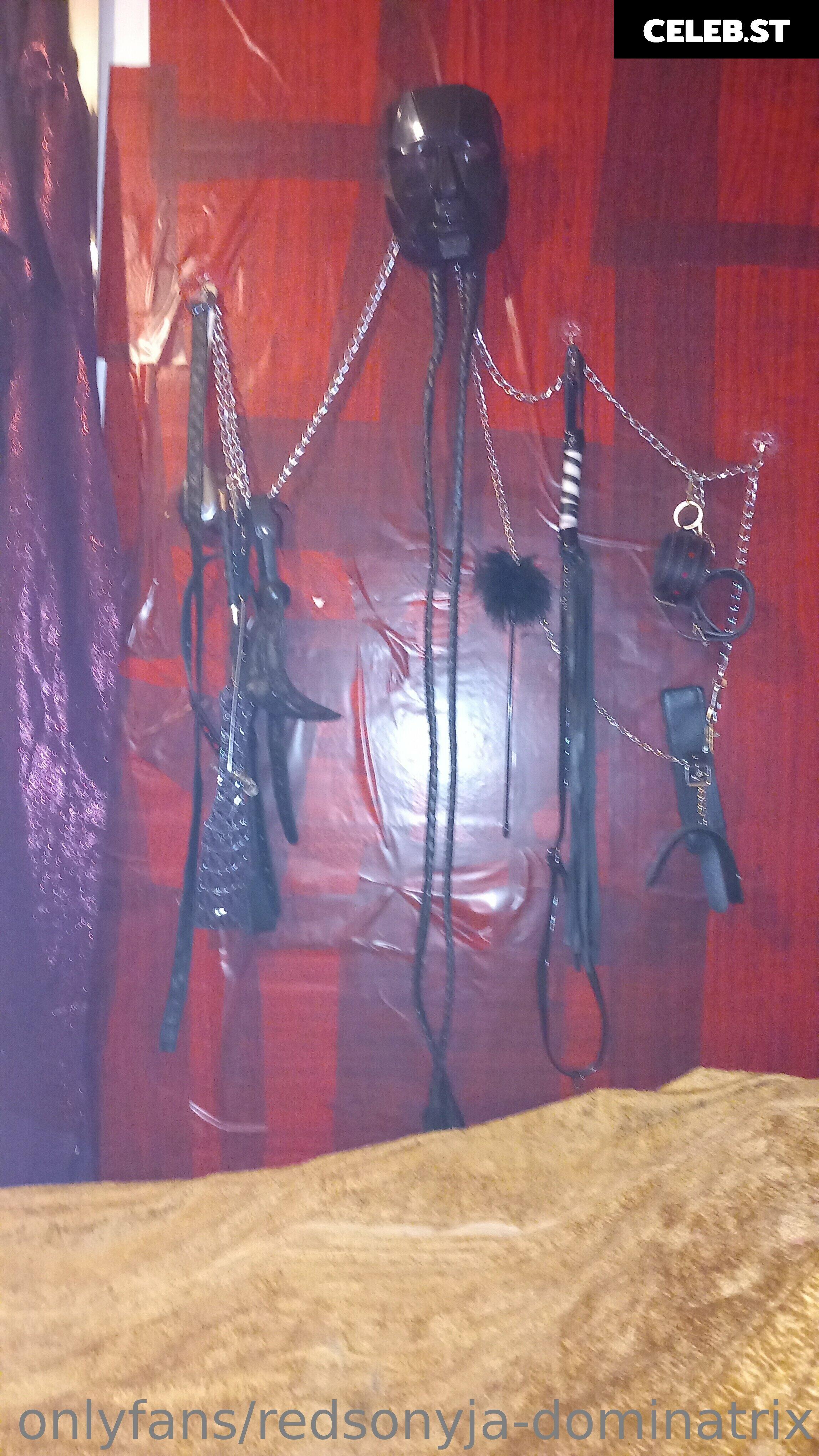 redsonyja-dominatrix Image 22229944