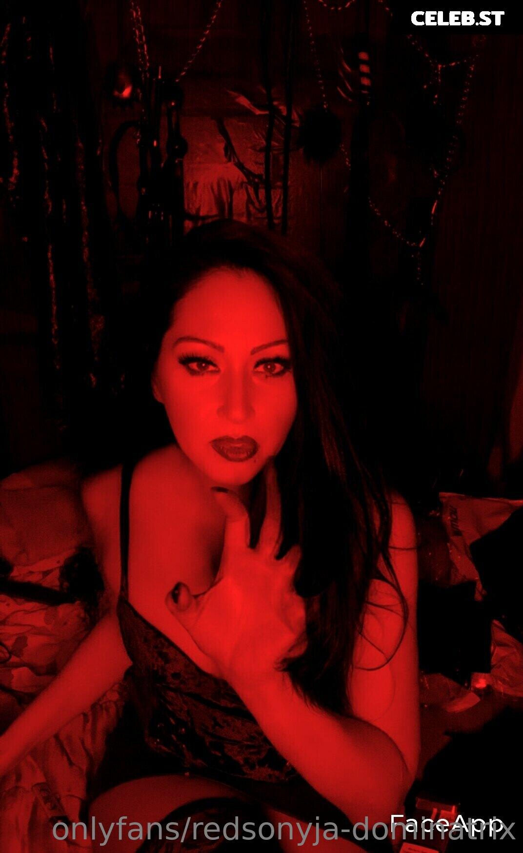 redsonyja-dominatrix Image 22229970