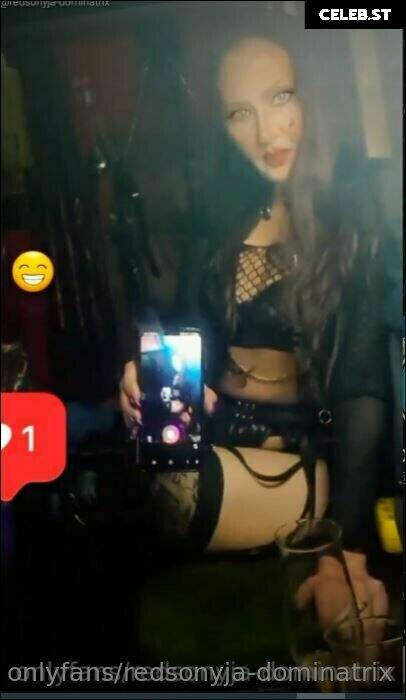redsonyja-dominatrix Image 22229824