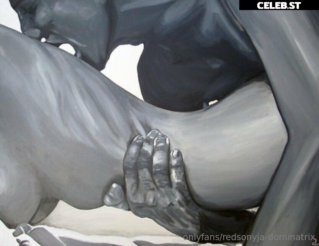 redsonyja-dominatrix Image 22229815