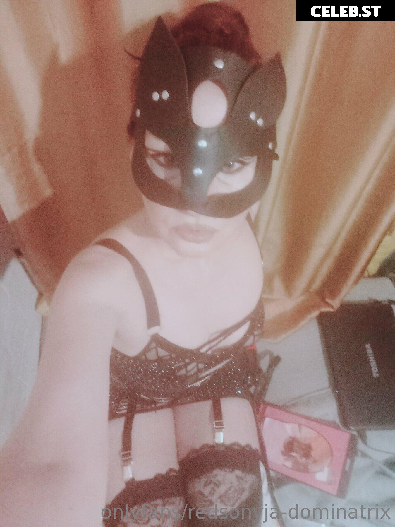 redsonyja-dominatrix Image 22229860
