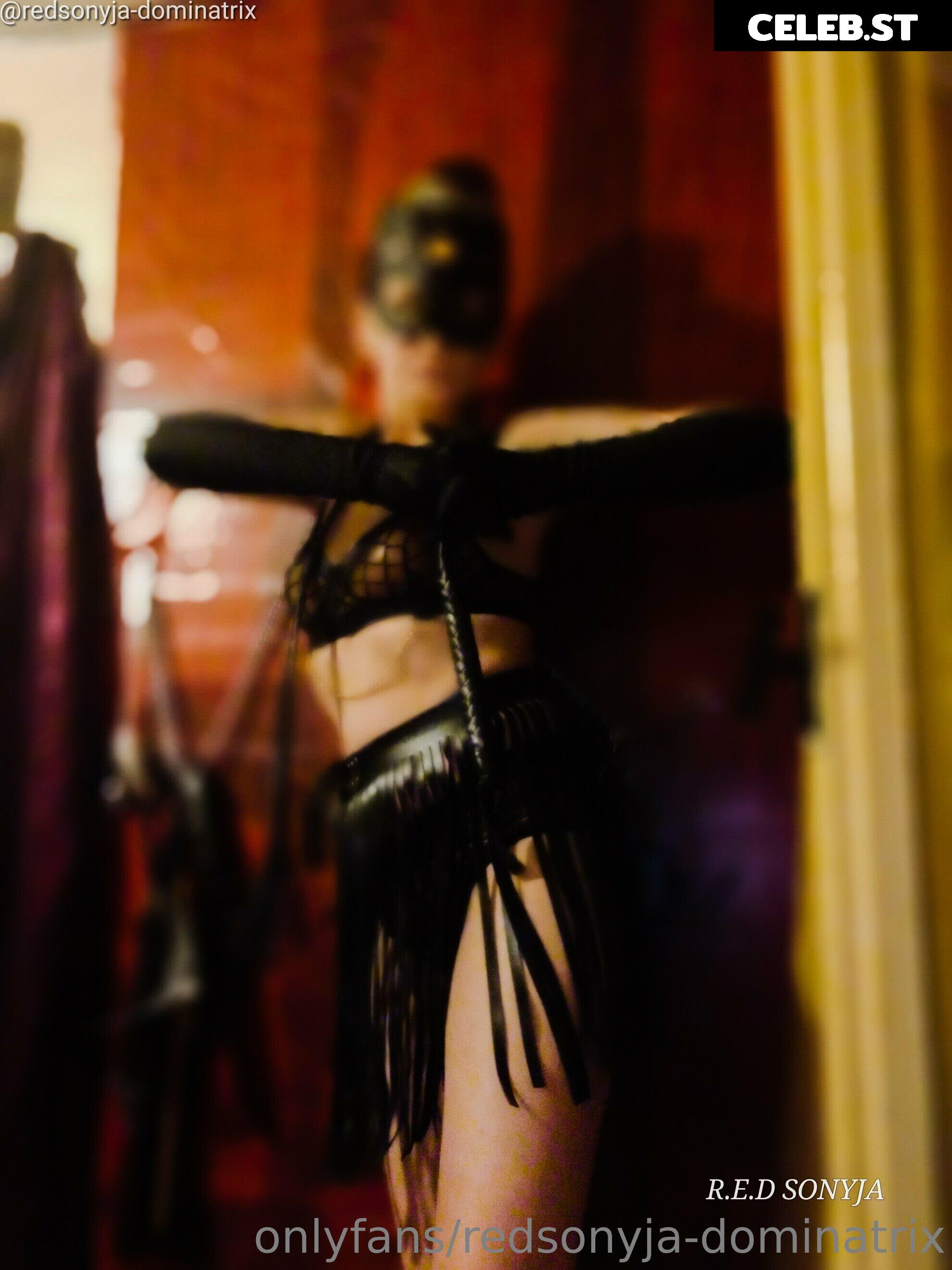 redsonyja-dominatrix Image 22229840