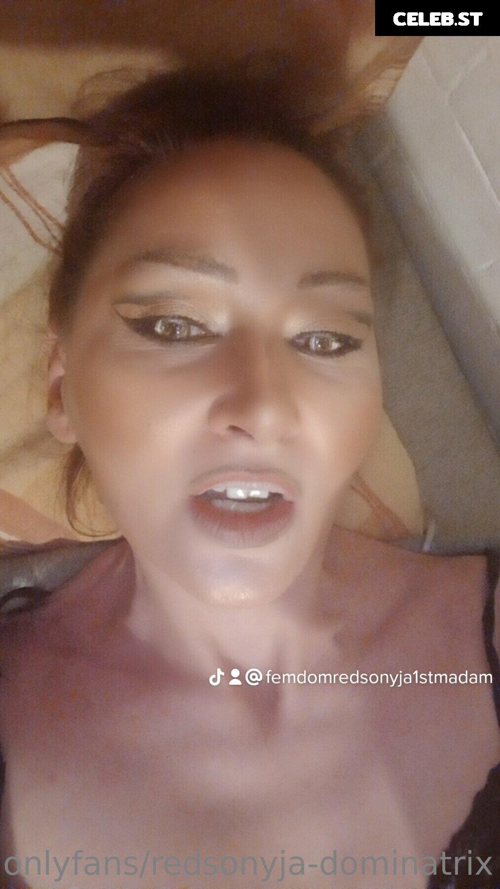 redsonyja-dominatrix Image 22229844