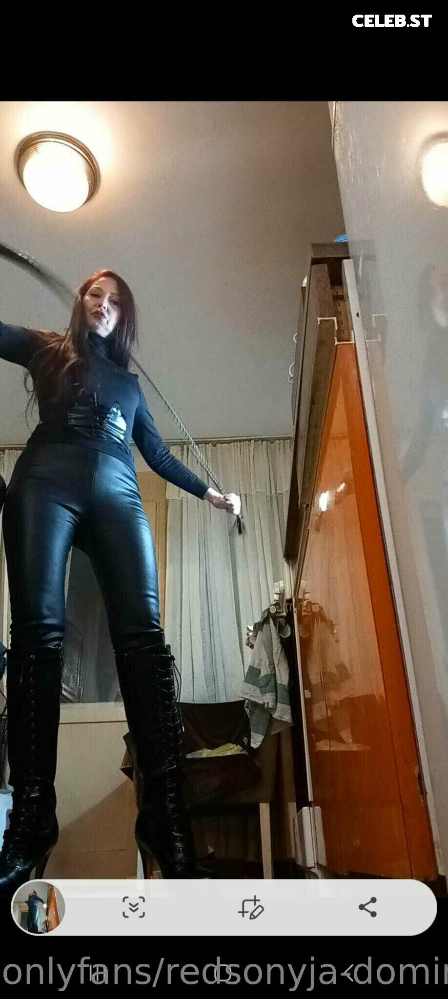 redsonyja-dominatrix Image 22229877