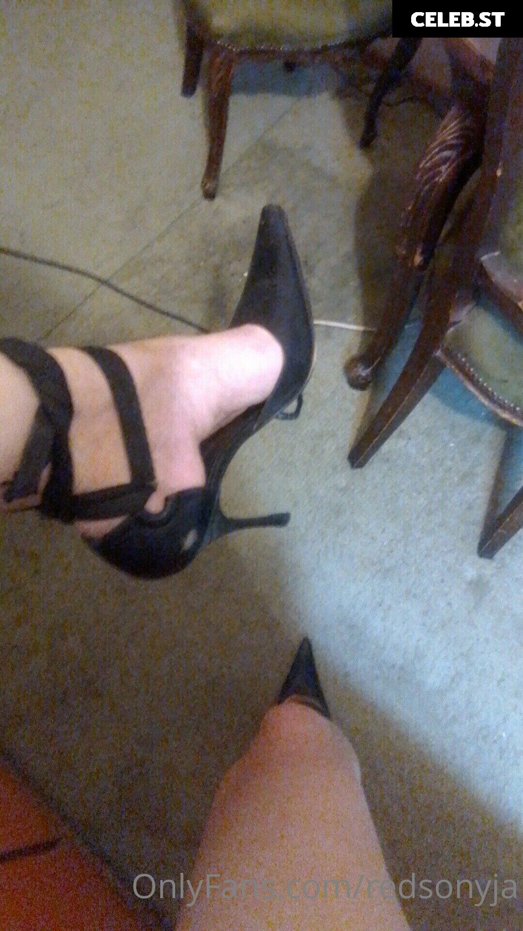 redsonyja-dominatrix Image 22229596