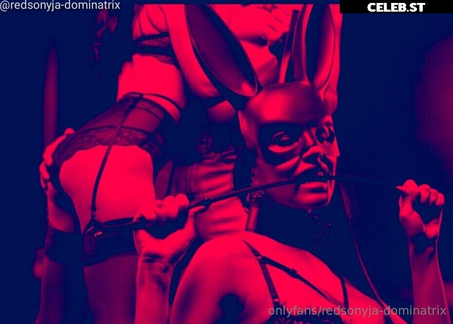 redsonyja-dominatrix Image 22229523