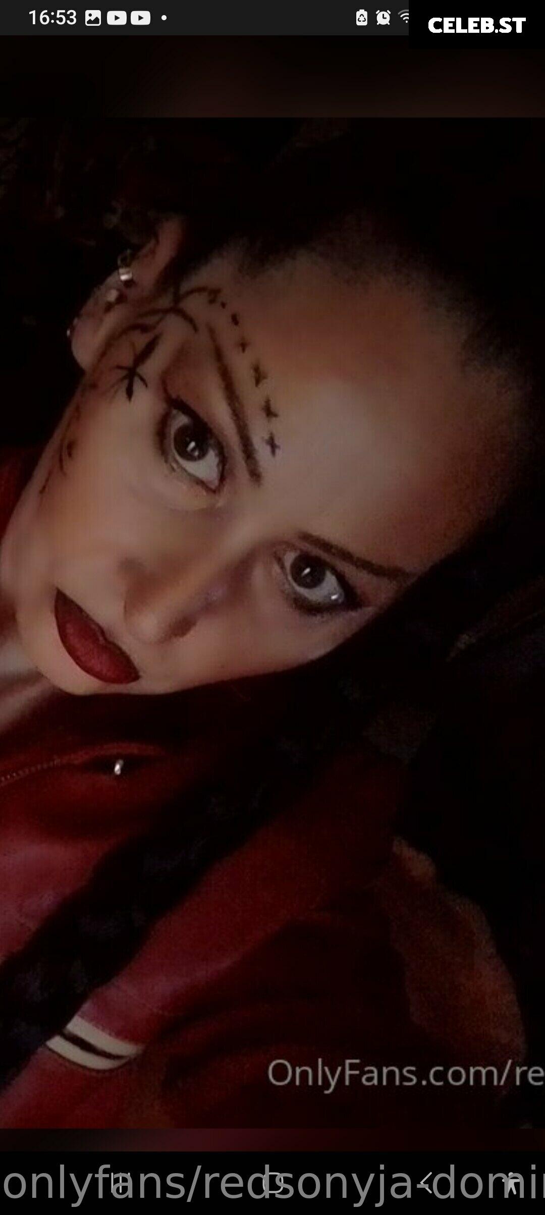 redsonyja-dominatrix Image 22229521