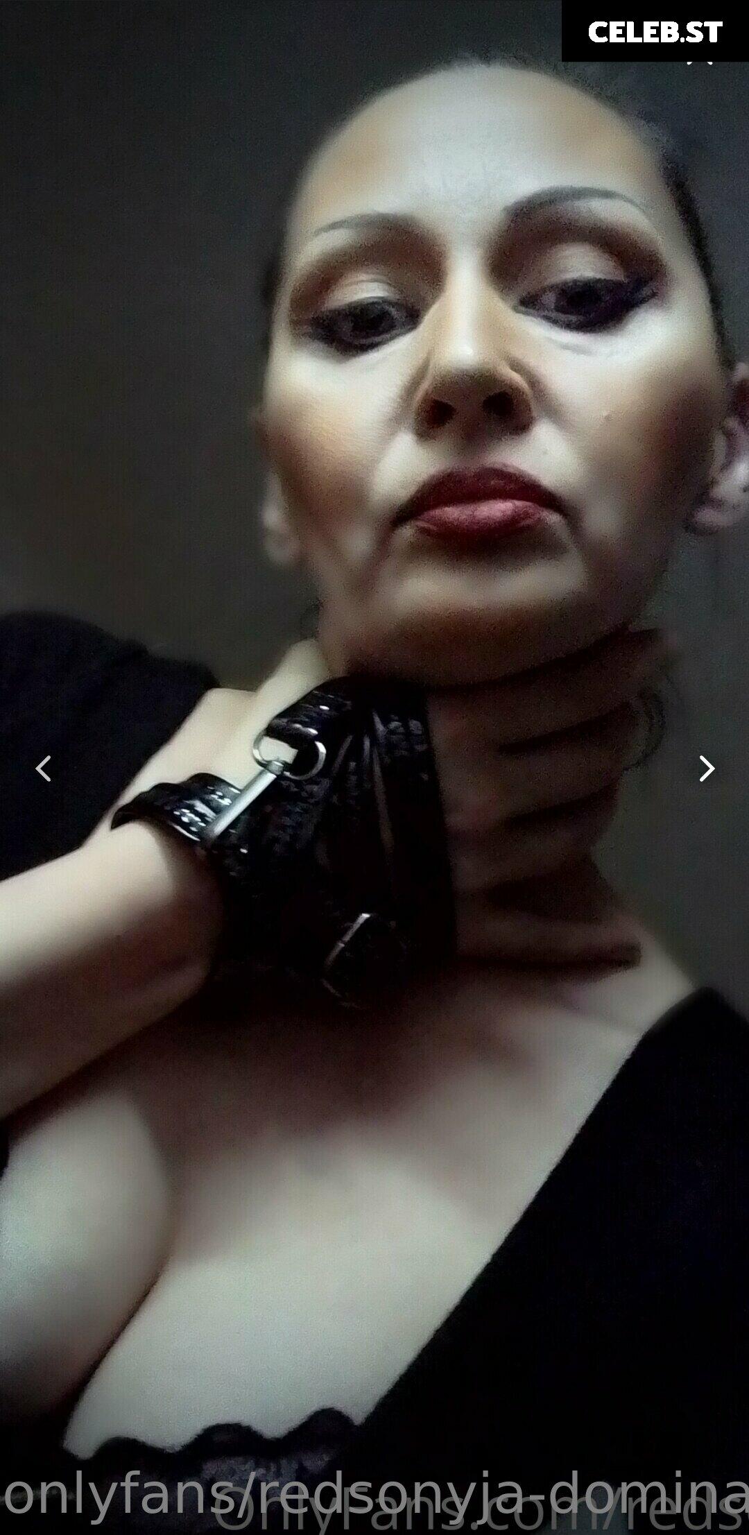 redsonyja-dominatrix Image 22229526