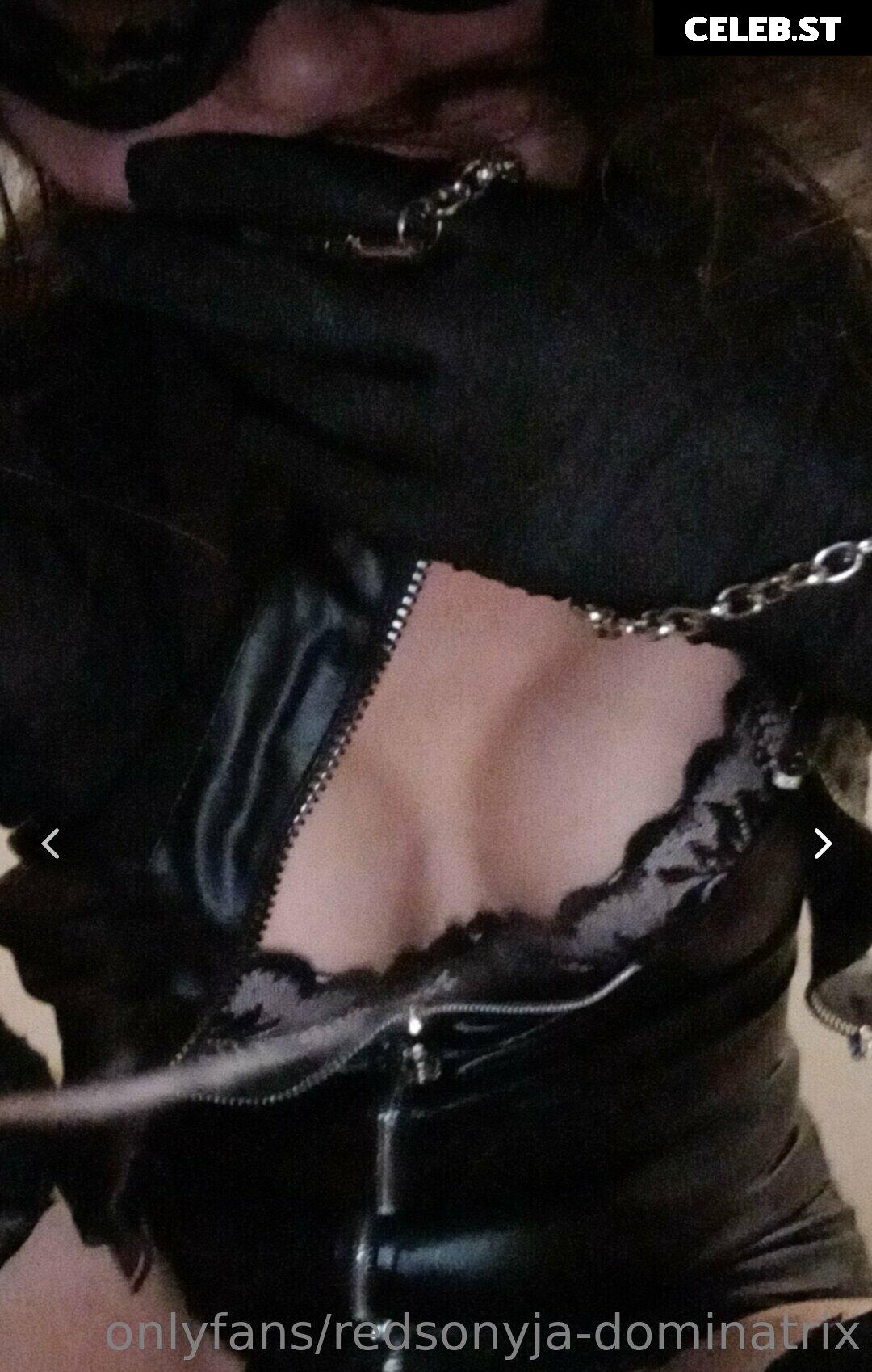 redsonyja-dominatrix Image 22229524