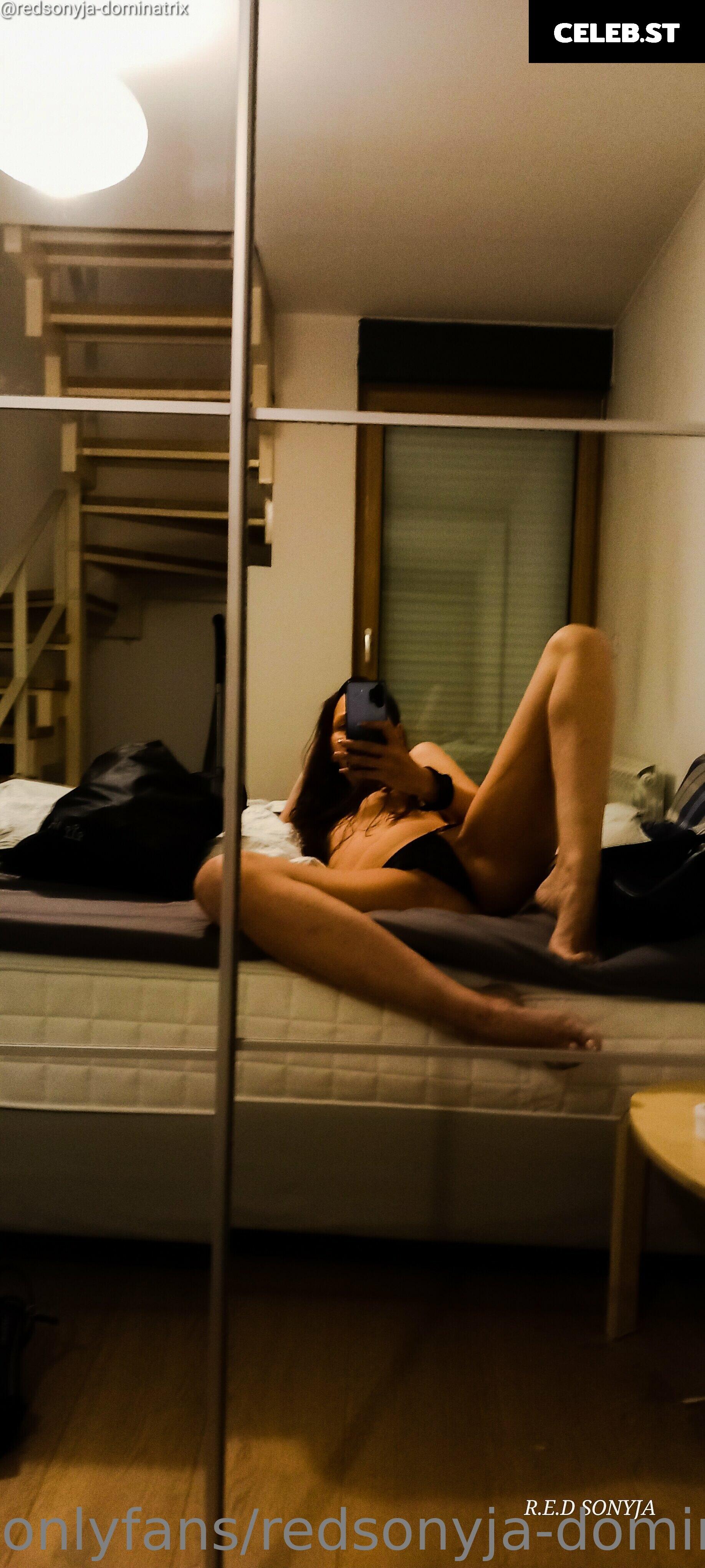redsonyja-dominatrix Image 22229512