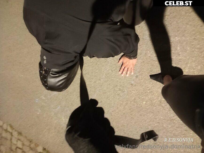 redsonyja-dominatrix Image 22229504