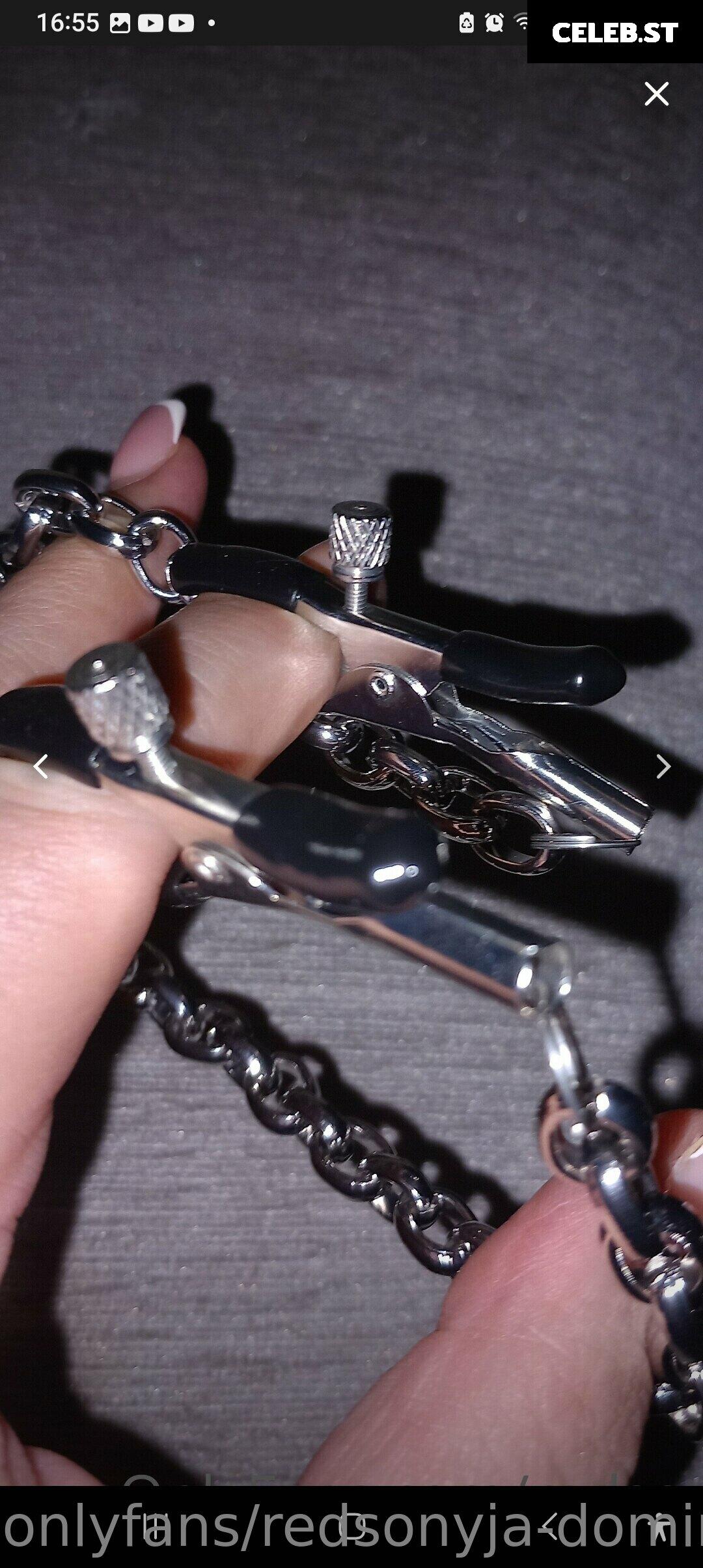 redsonyja-dominatrix Image 22229540