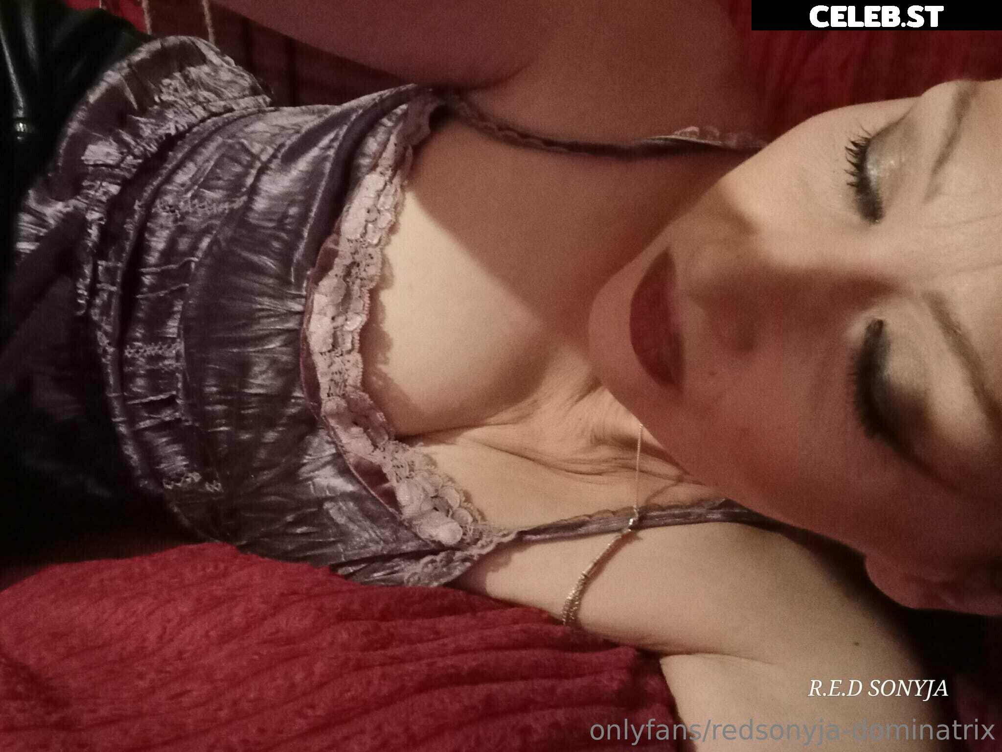 redsonyja-dominatrix Image 22229495