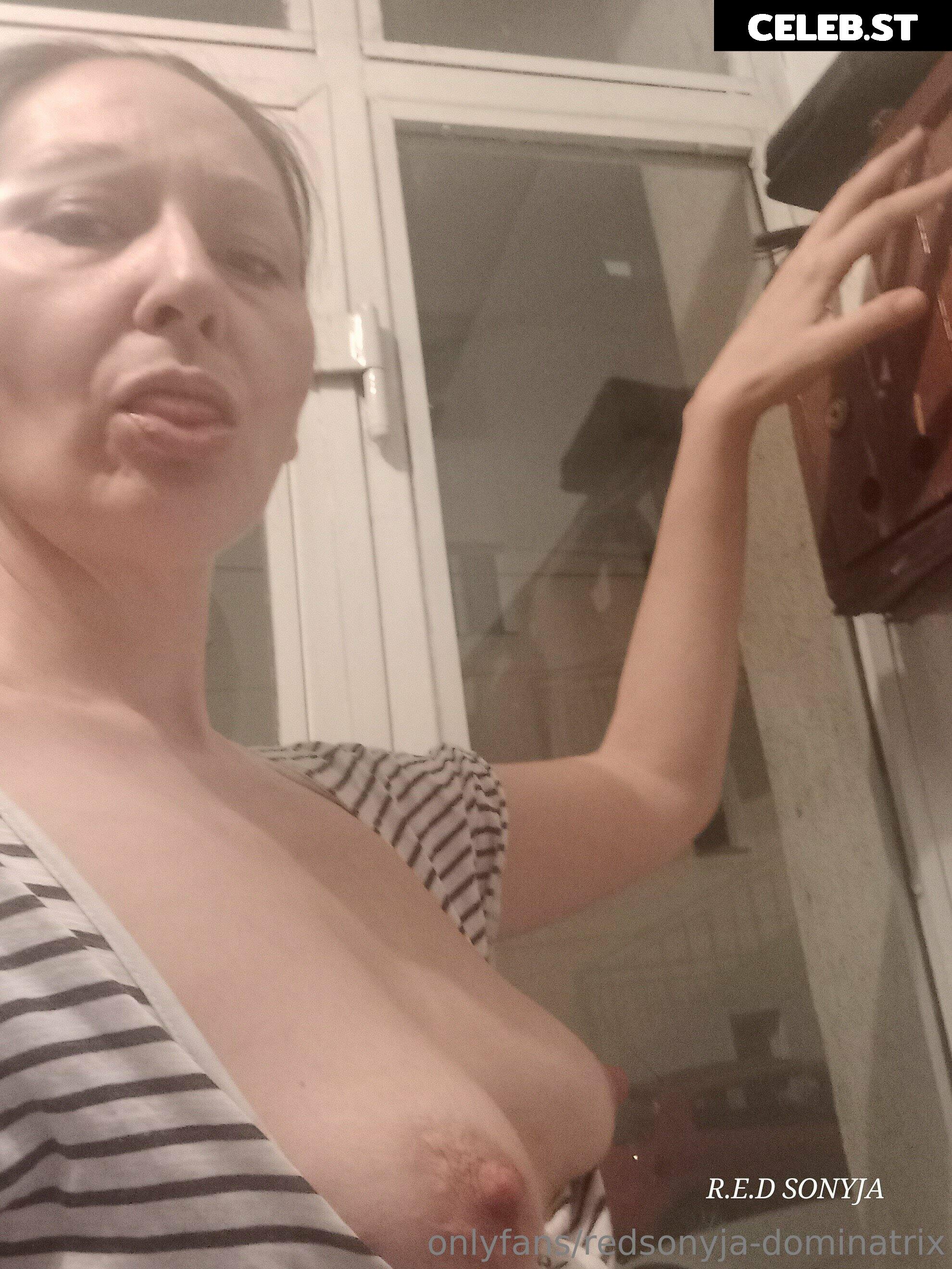redsonyja-dominatrix Image 22229499