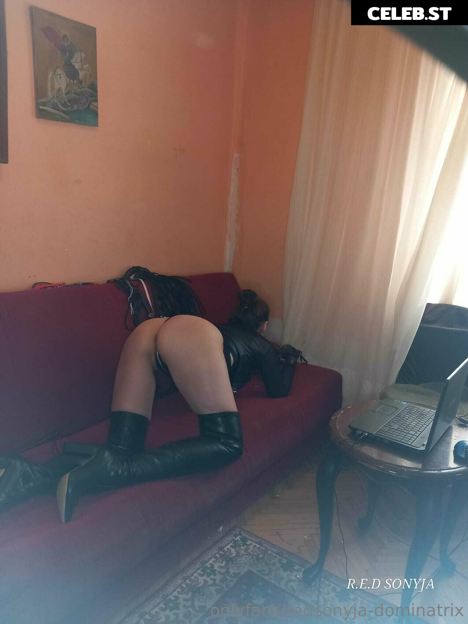 redsonyja-dominatrix Image 22229483