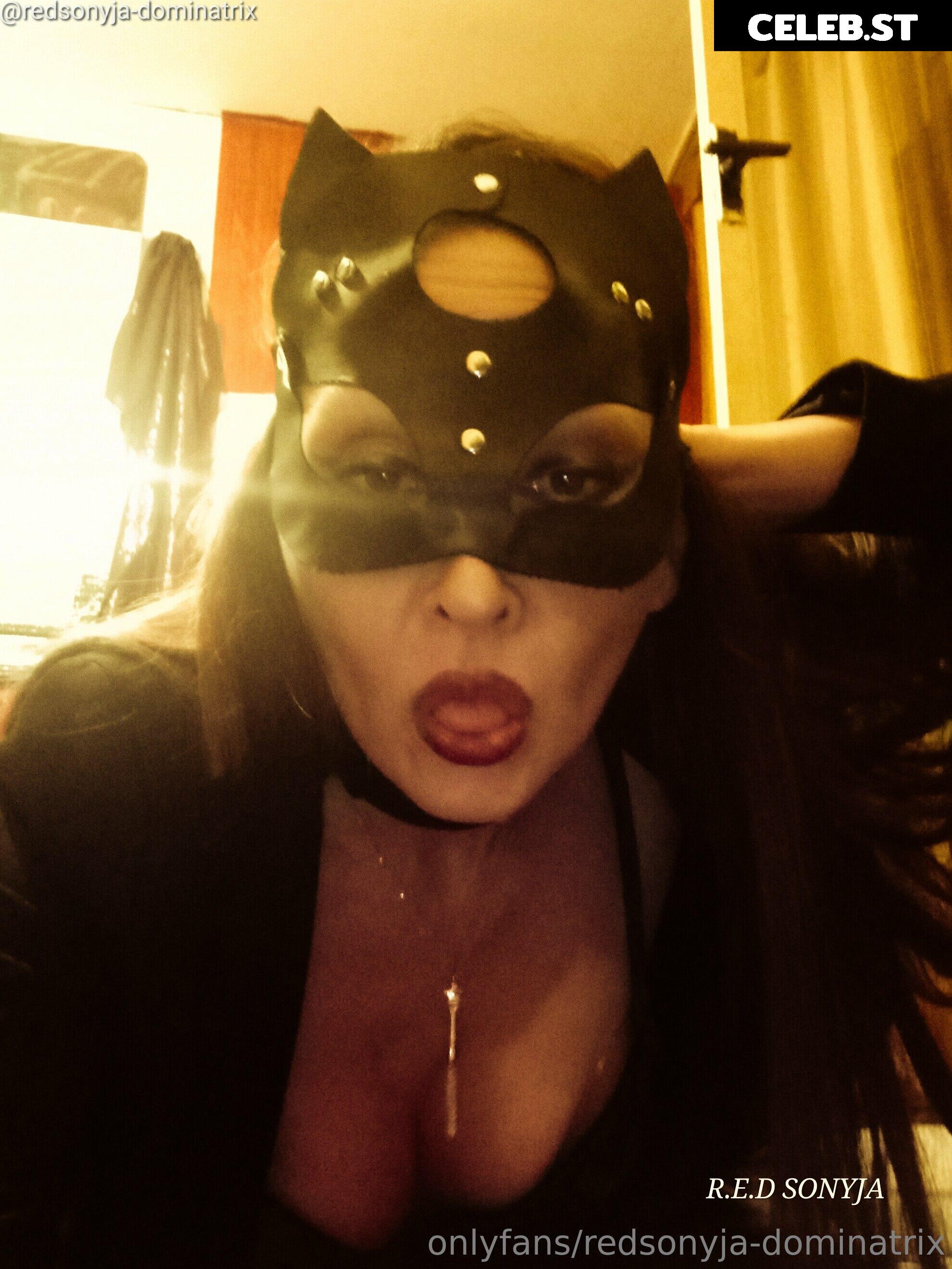 redsonyja-dominatrix Image 22229481