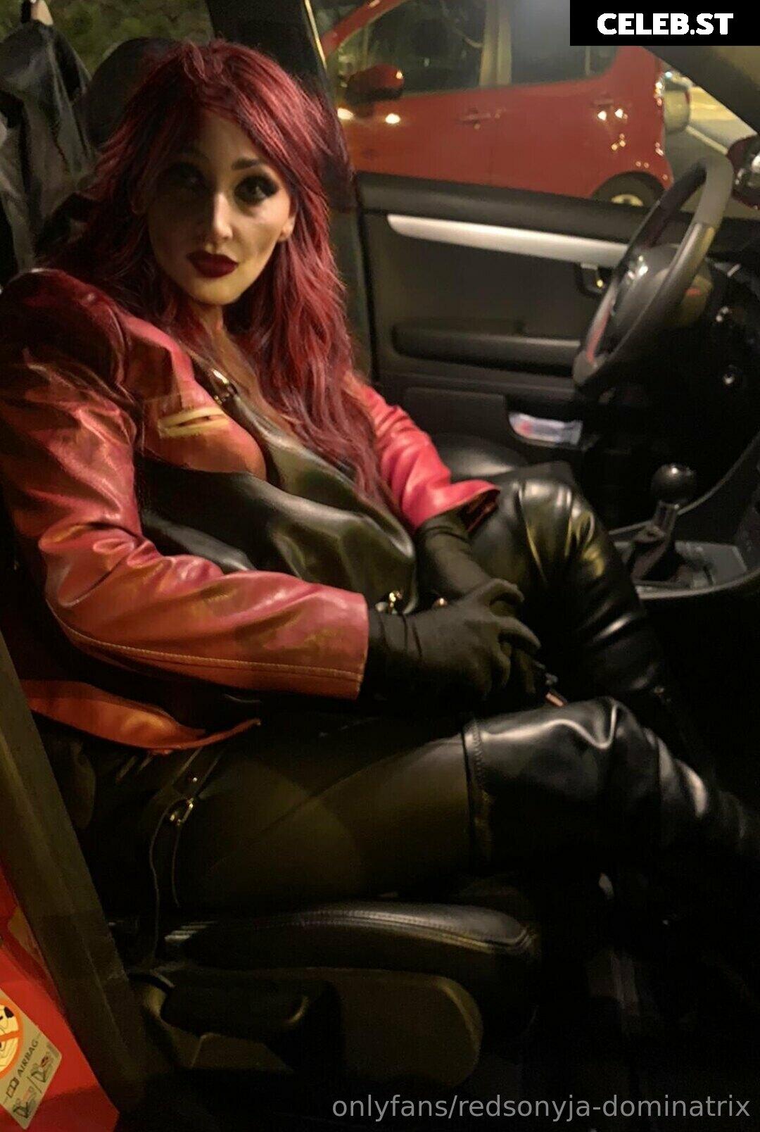 redsonyja-dominatrix Image 22229487