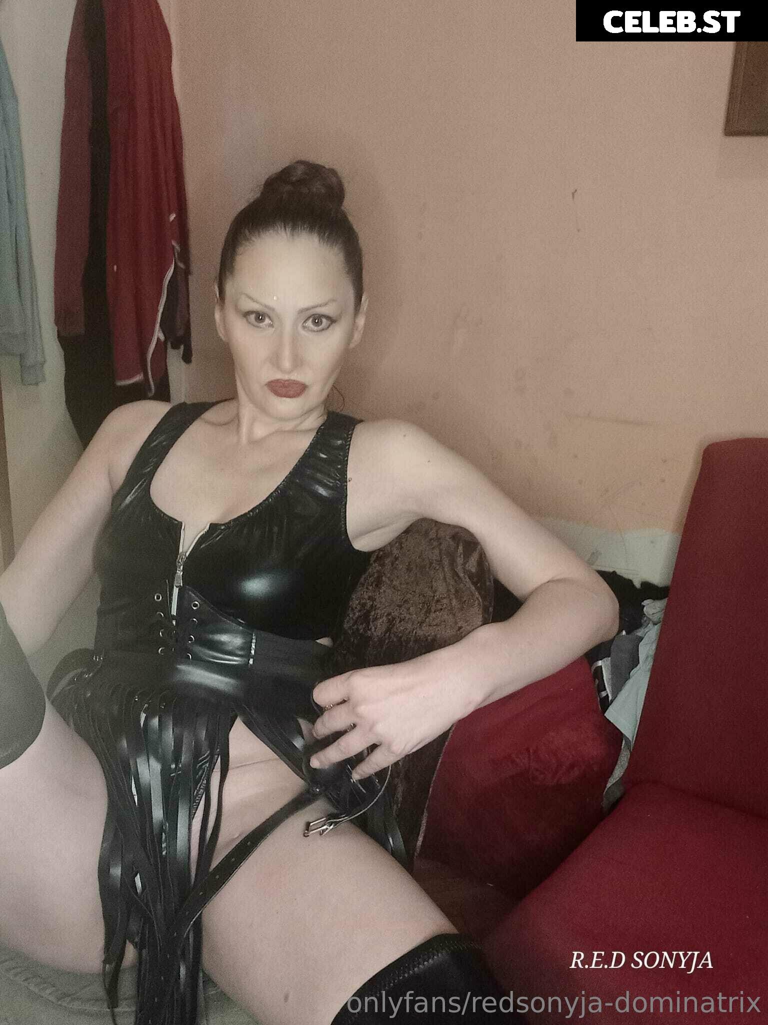 redsonyja-dominatrix Image 22229488