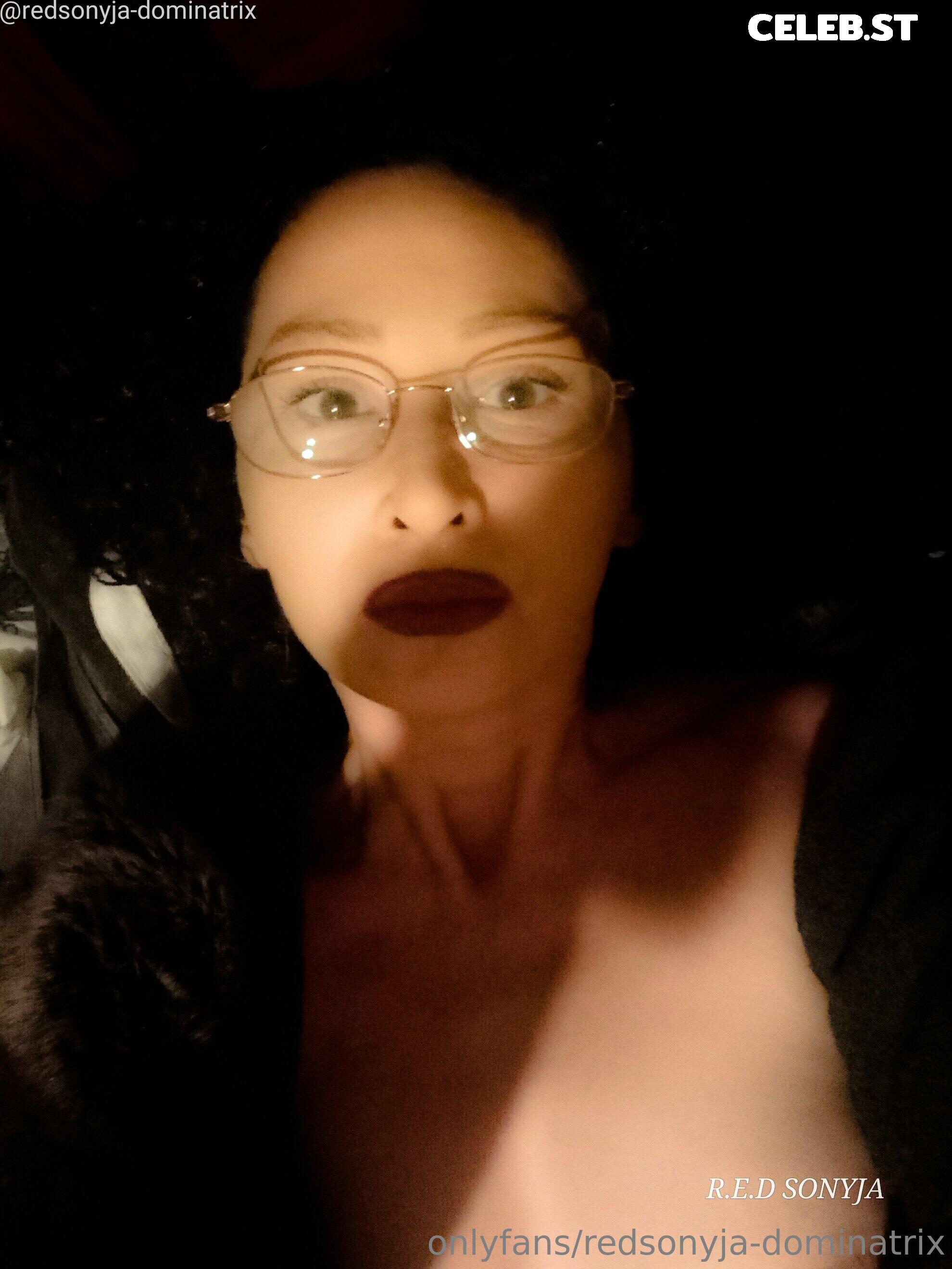 redsonyja-dominatrix Image 22229424